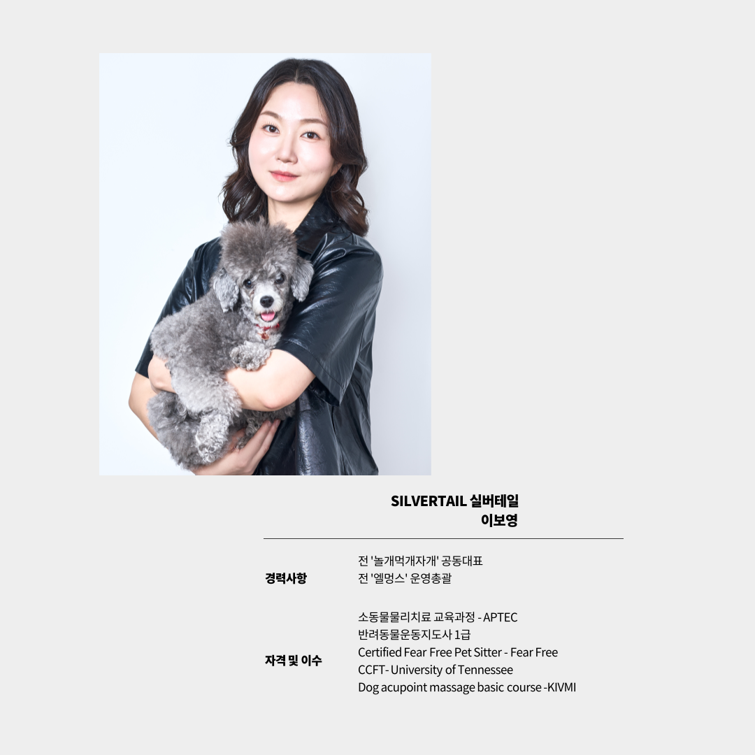 실버테일 대표 이미지