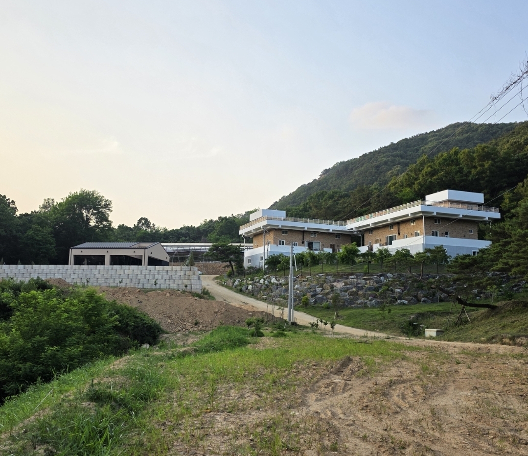 드림카페 충청 애견맛집
