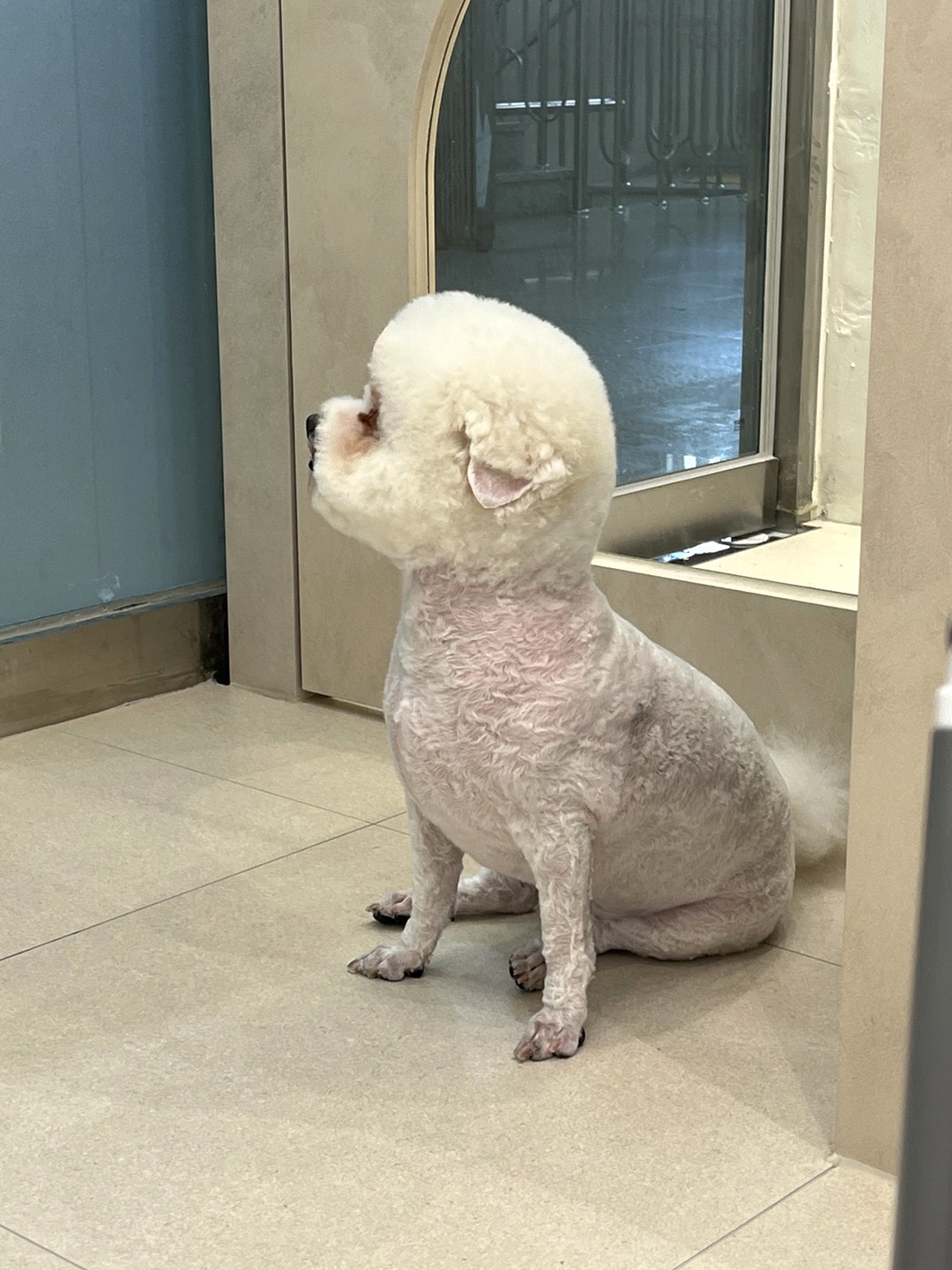 산뜻하개 대표 이미지