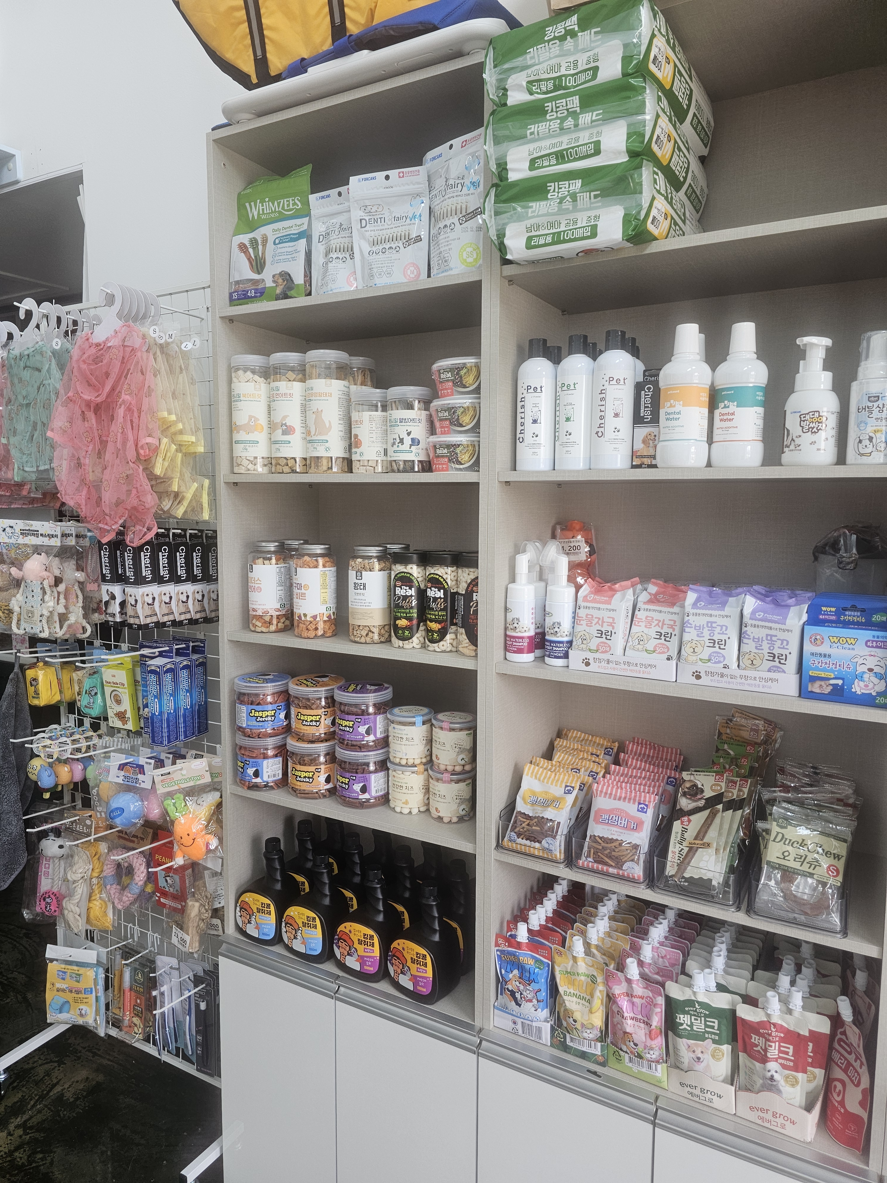 꿈꾸는개 대표 이미지