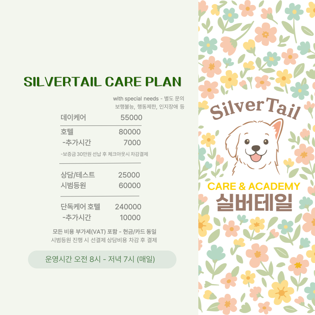 실버테일 대표 이미지