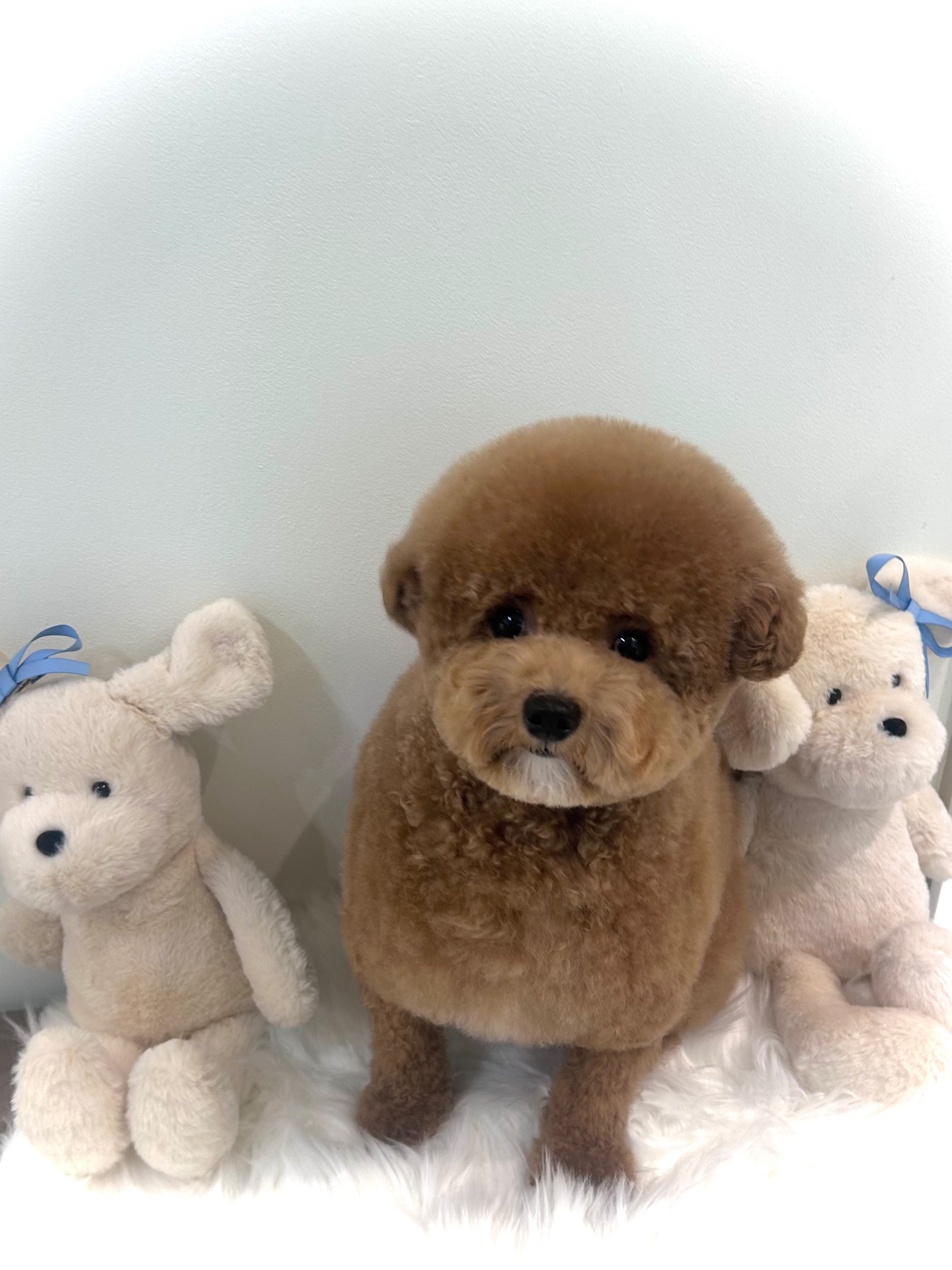 캐시앤테디 대표 이미지