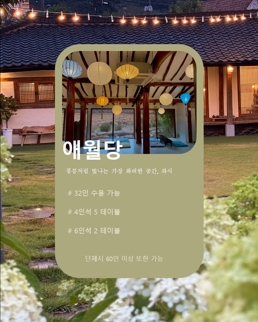 나우펫24 전라 애견맛집