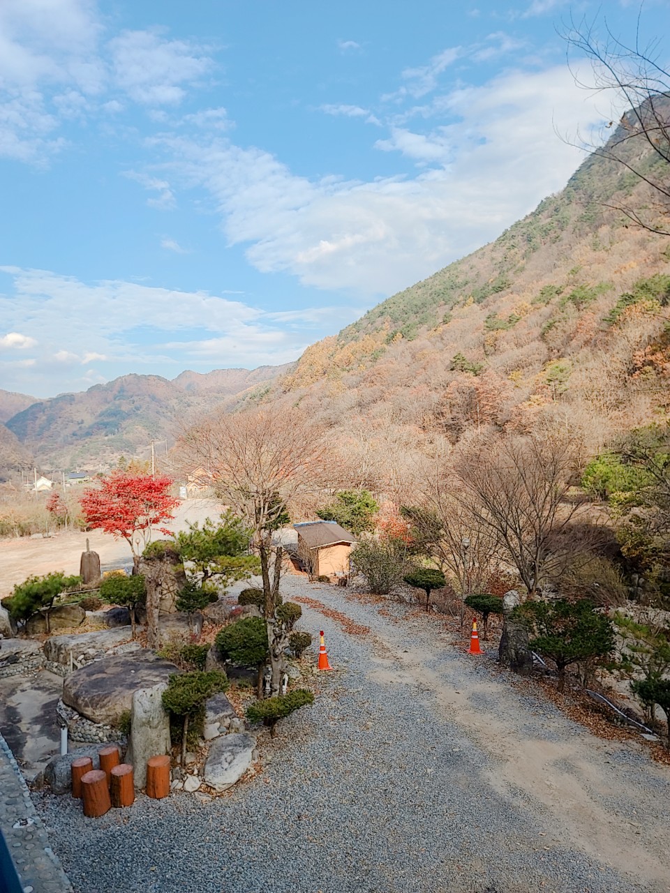 하늘아래별천지민박 충청 애견숙소