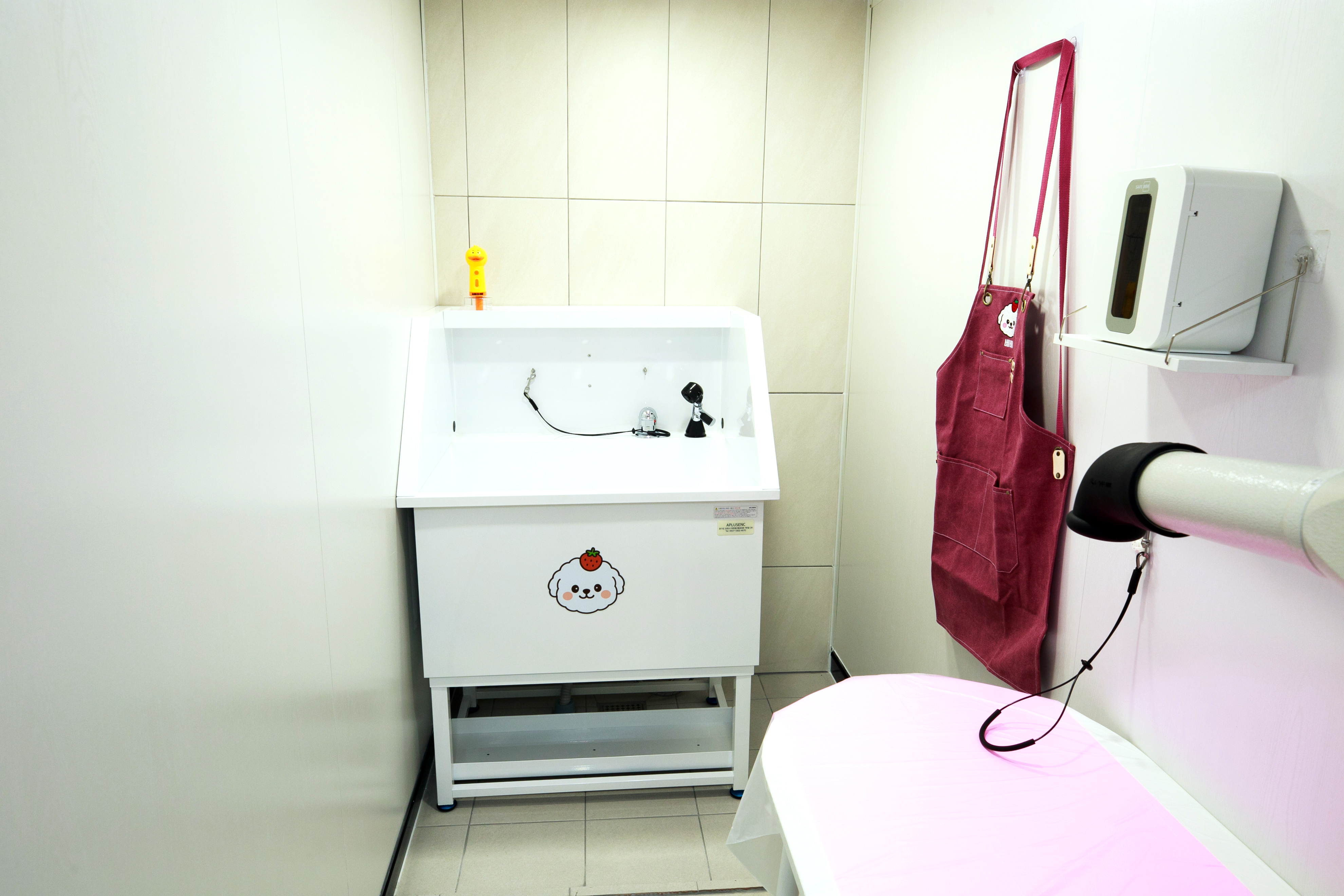 베리스 배스 대표 이미지