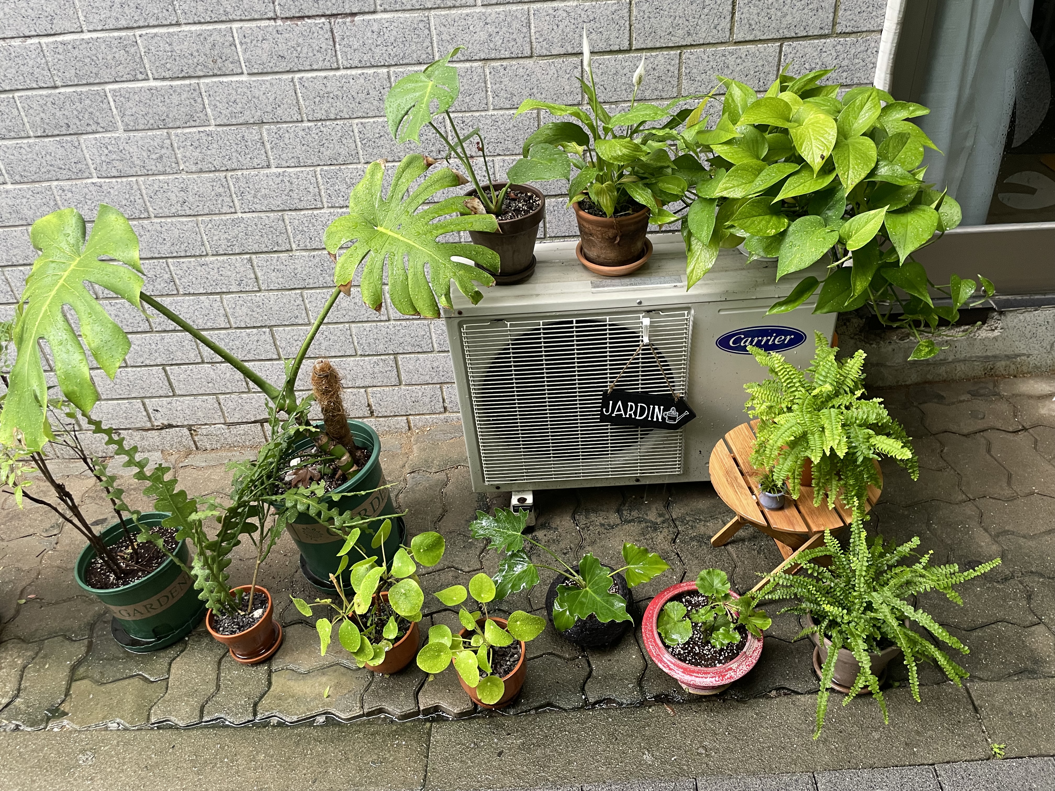 요가여행 대표 이미지