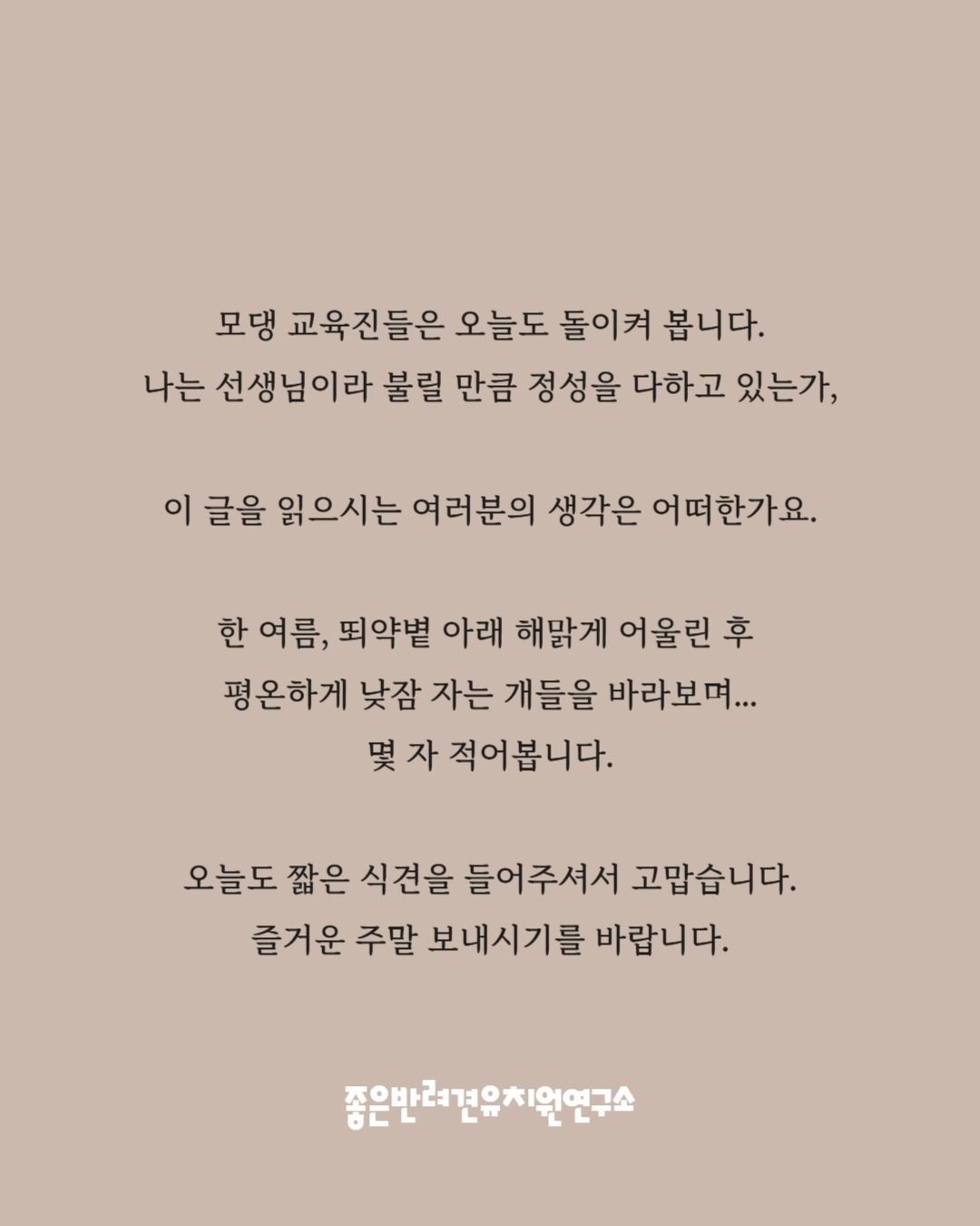 사진 3
