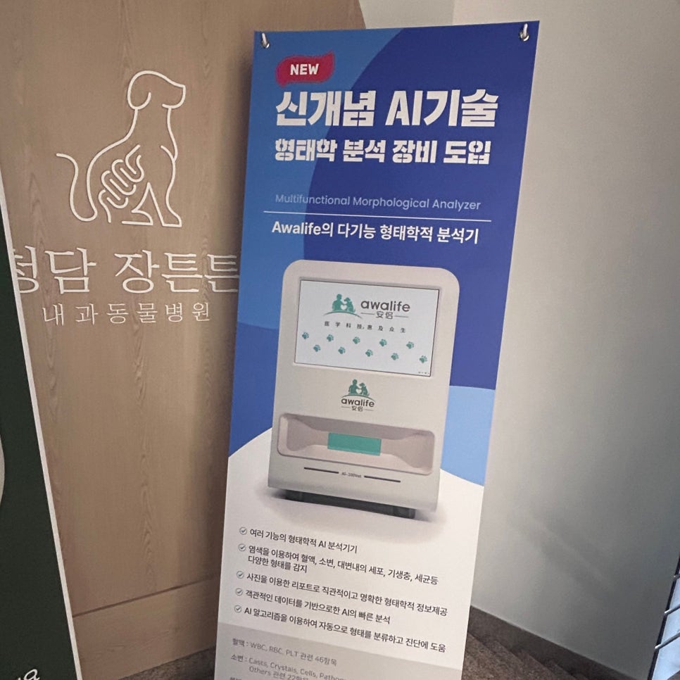 청담 장튼튼내과동물병원 대표 이미지
