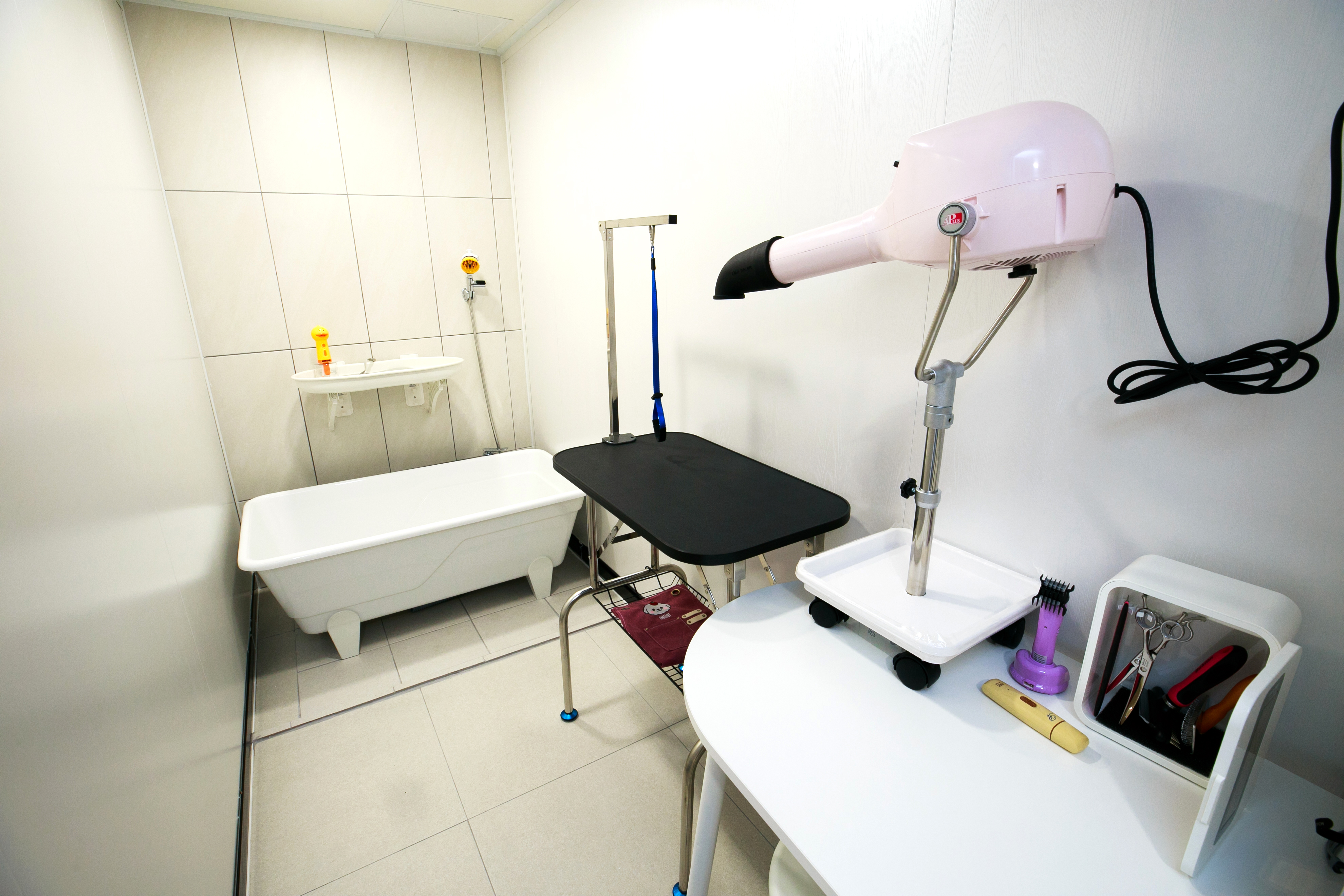 베리스 배스 대표 이미지