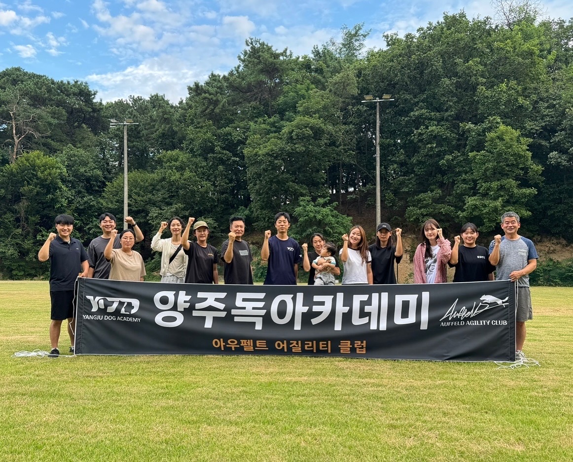 펫케아 경기 애견맛집