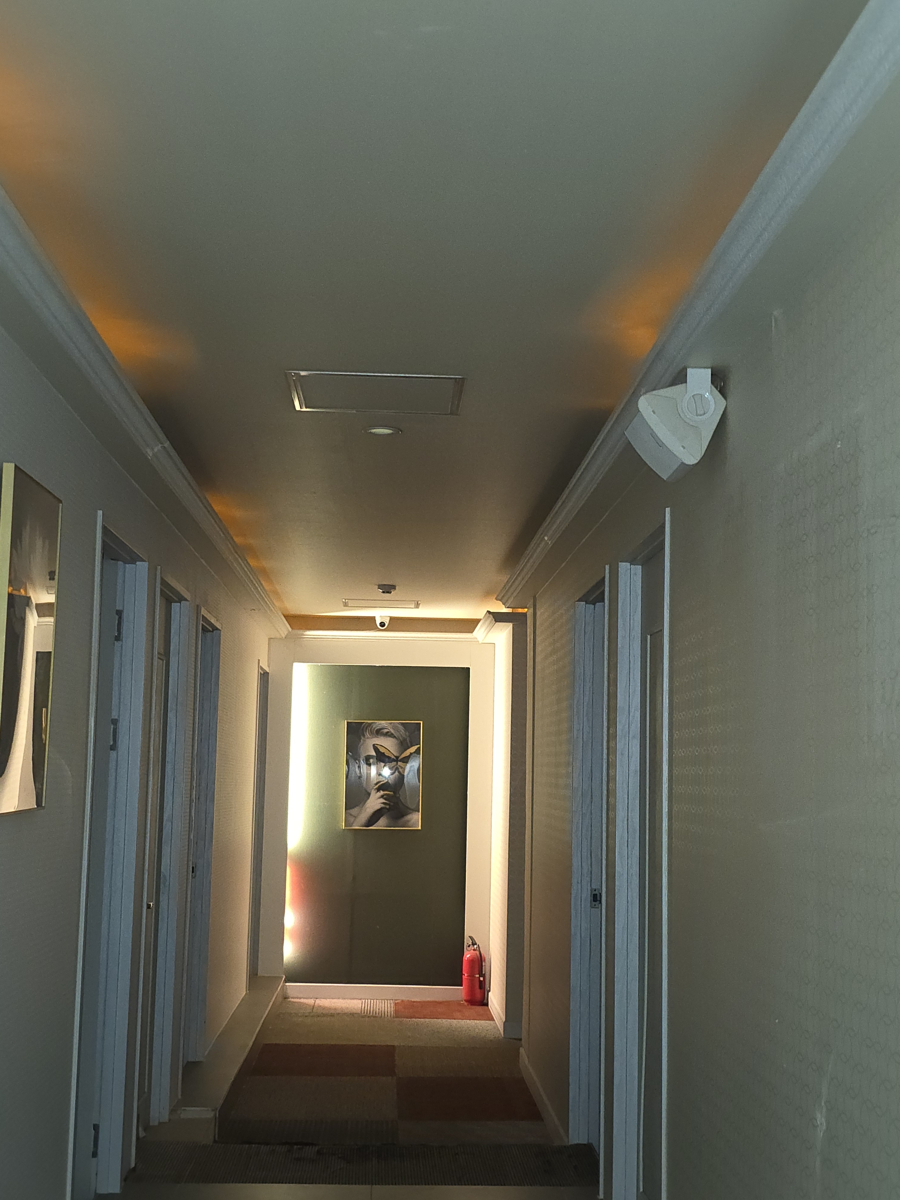 비비드 photo 2