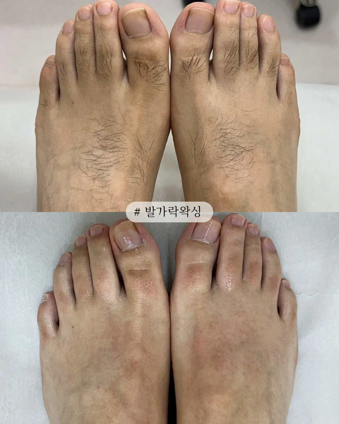 디오트 대표 이미지