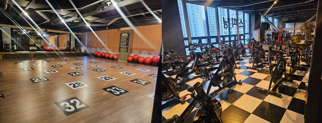 퀸G.X 대표 이미지