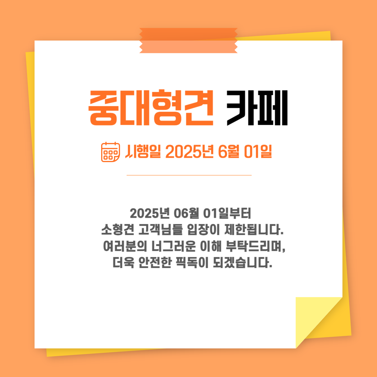 사진 2