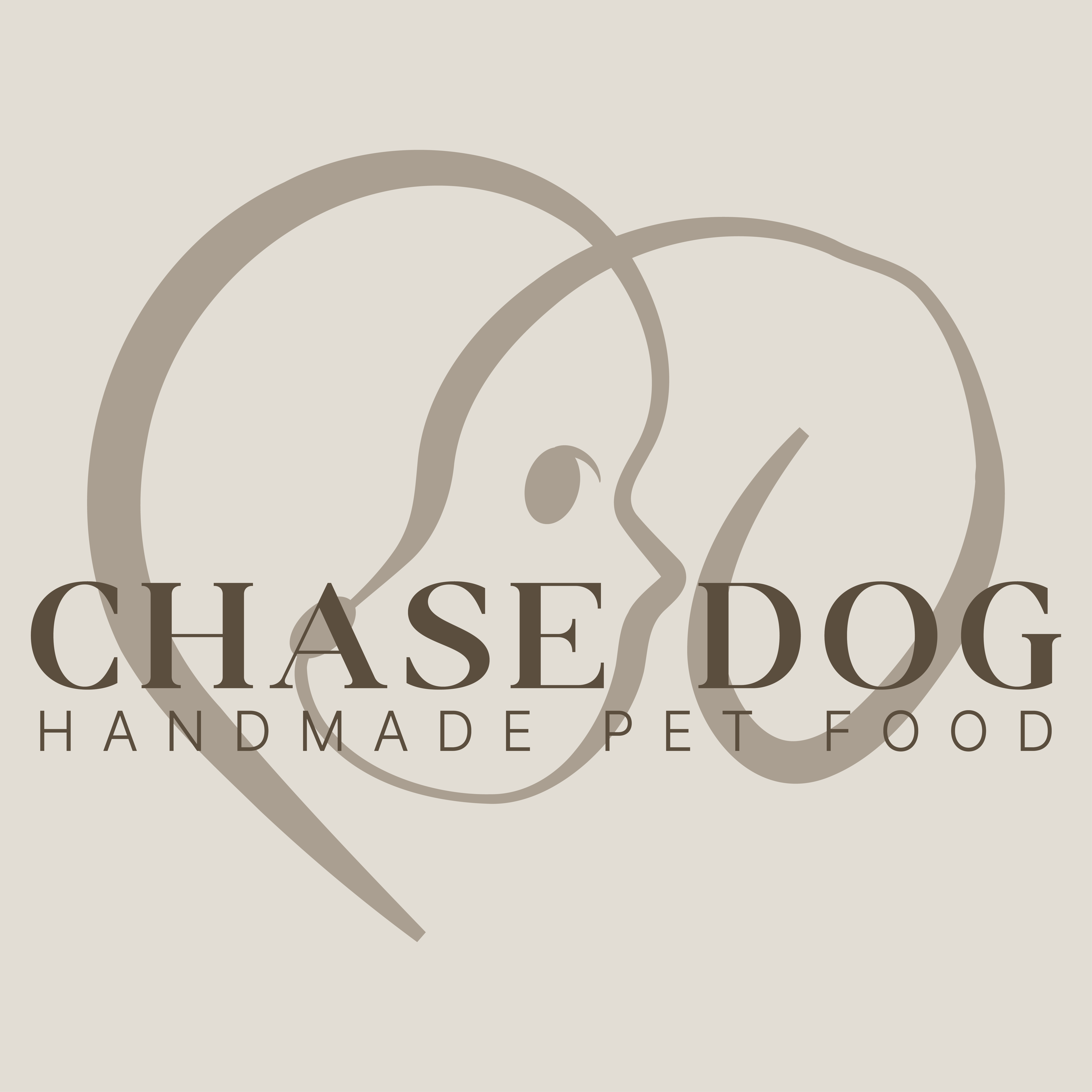 체이스독 대표 이미지