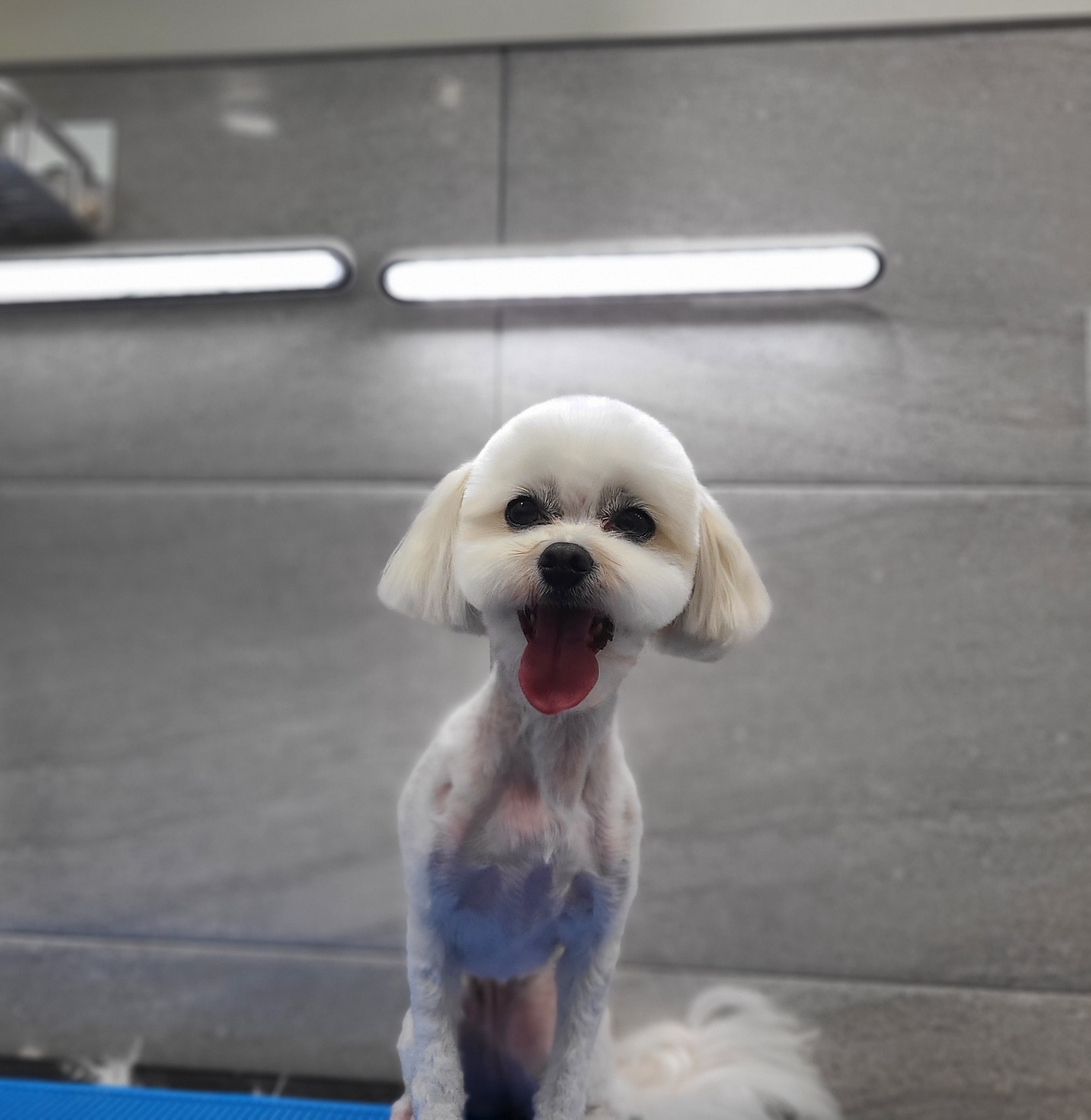 포밍 대표 이미지