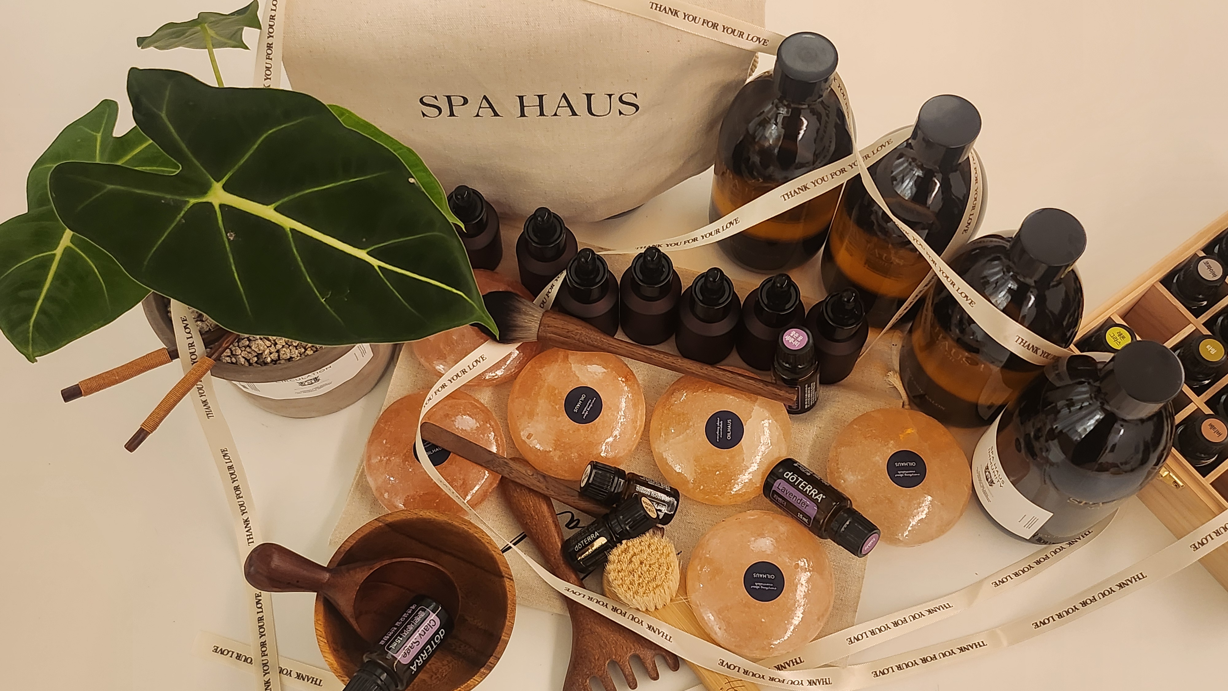 온정테라피 (강남역) 매장 사진 4