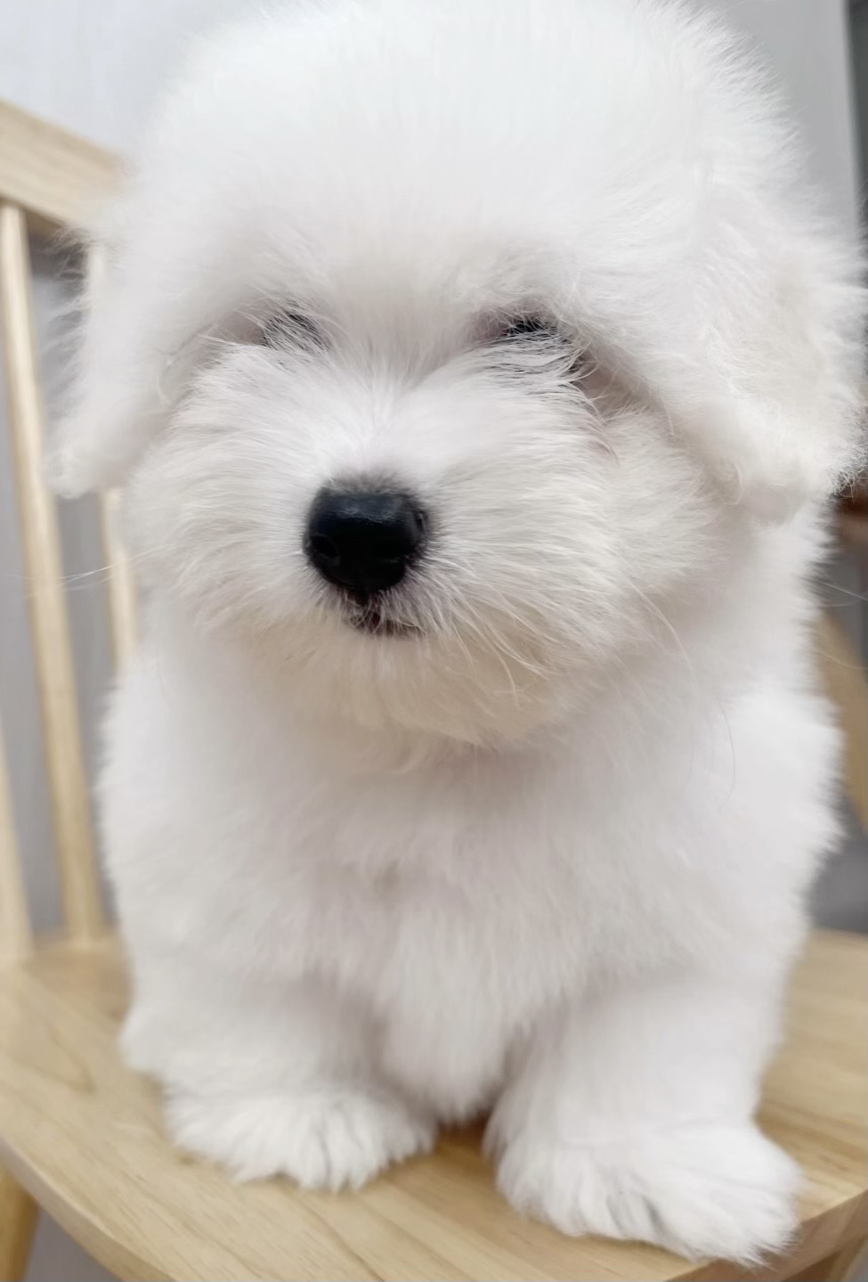 위드멍 7