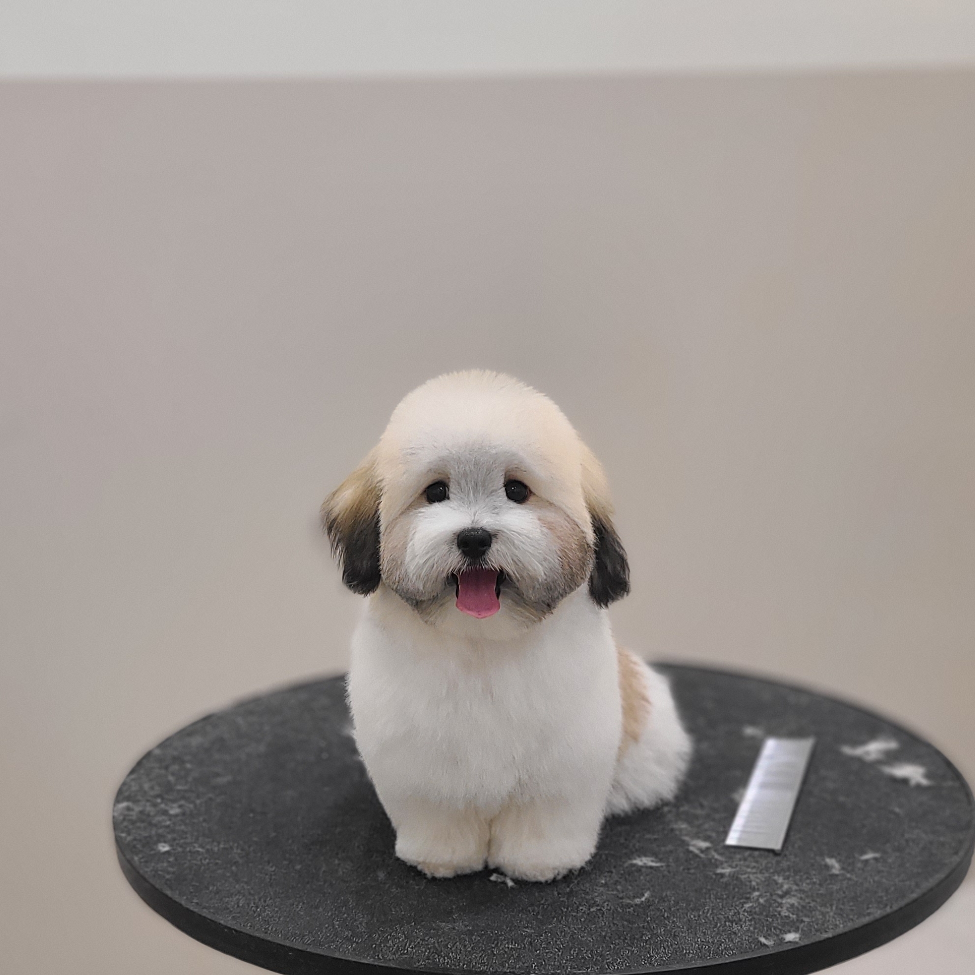 포밍 대표 이미지