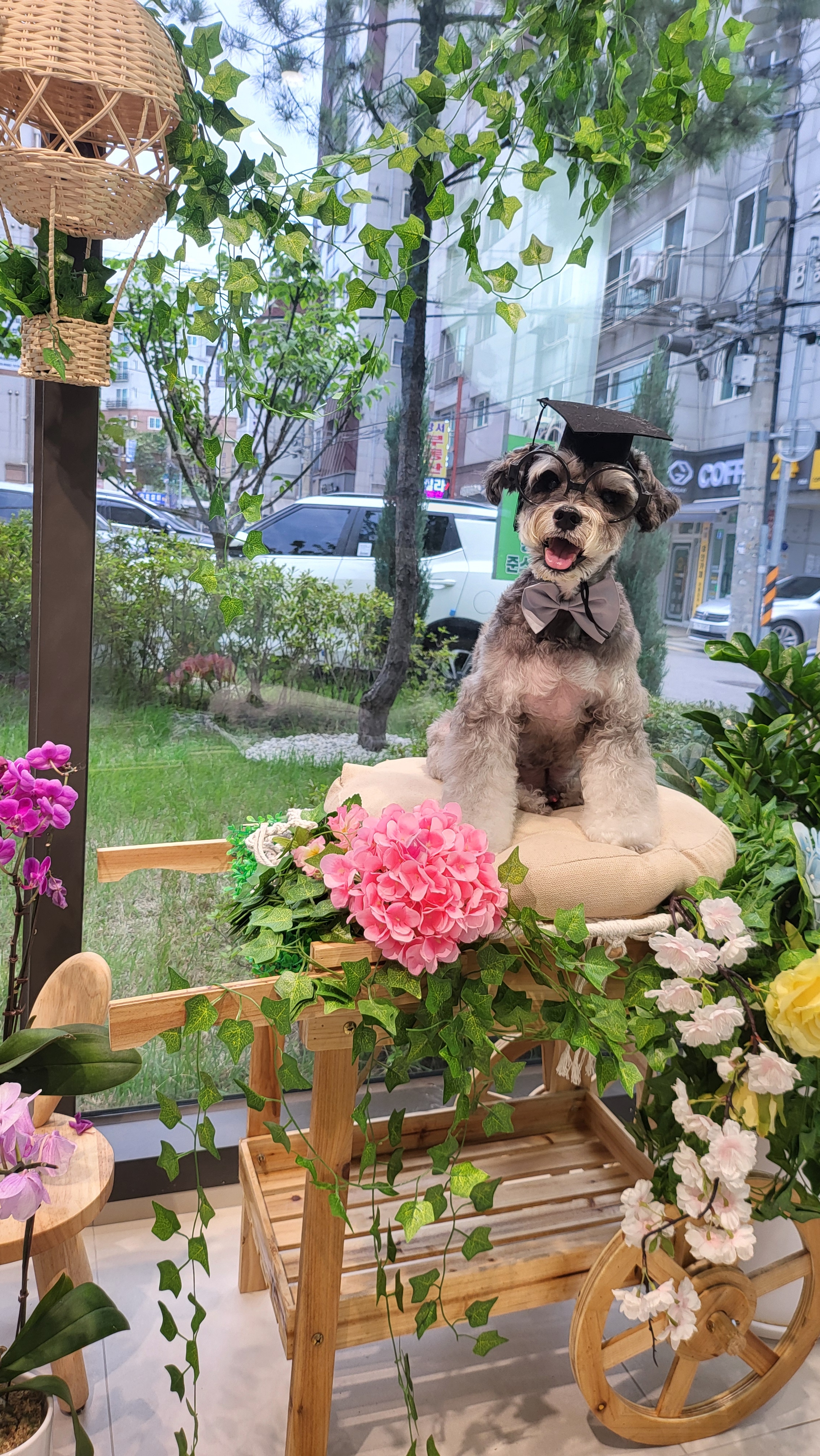박지은펫살롱 대표 이미지