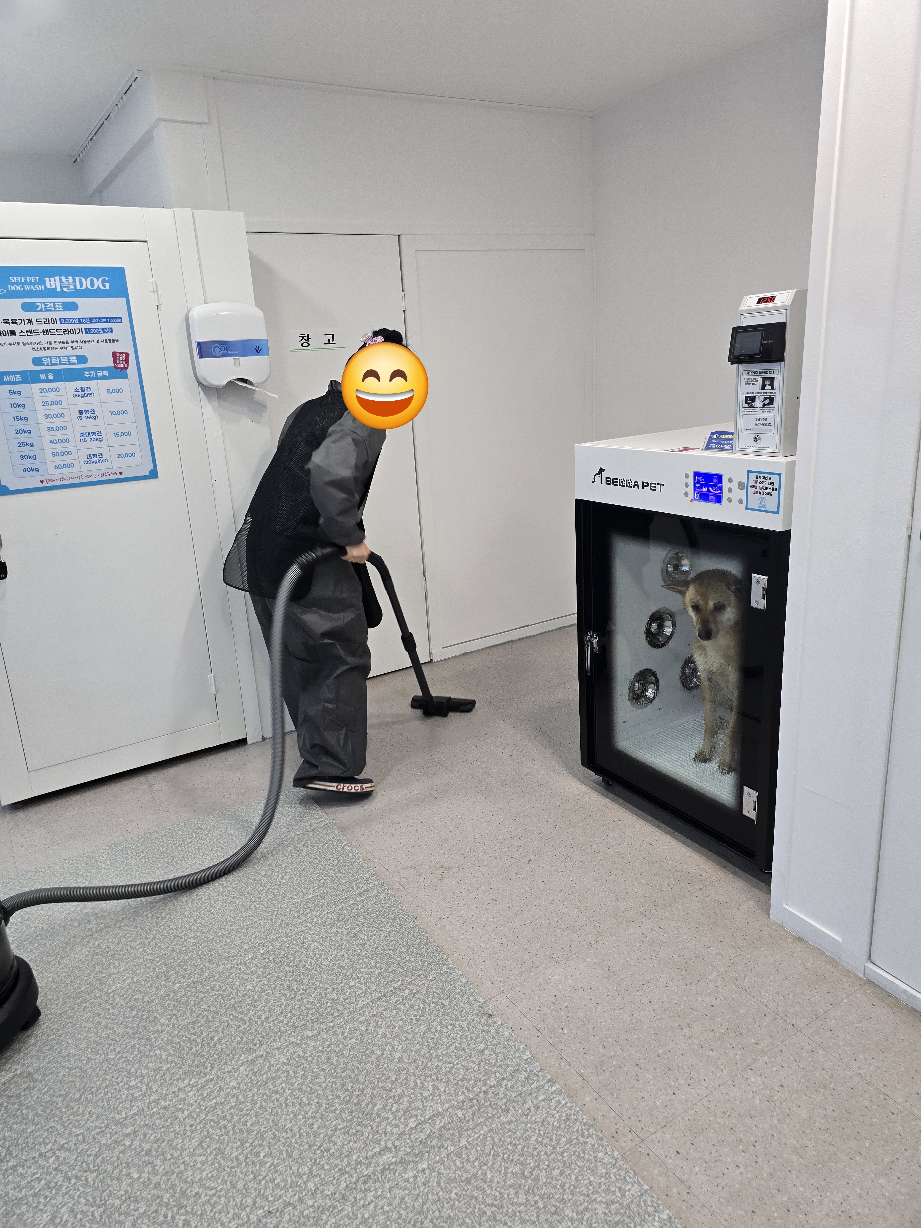 가자버블dog 대표 이미지