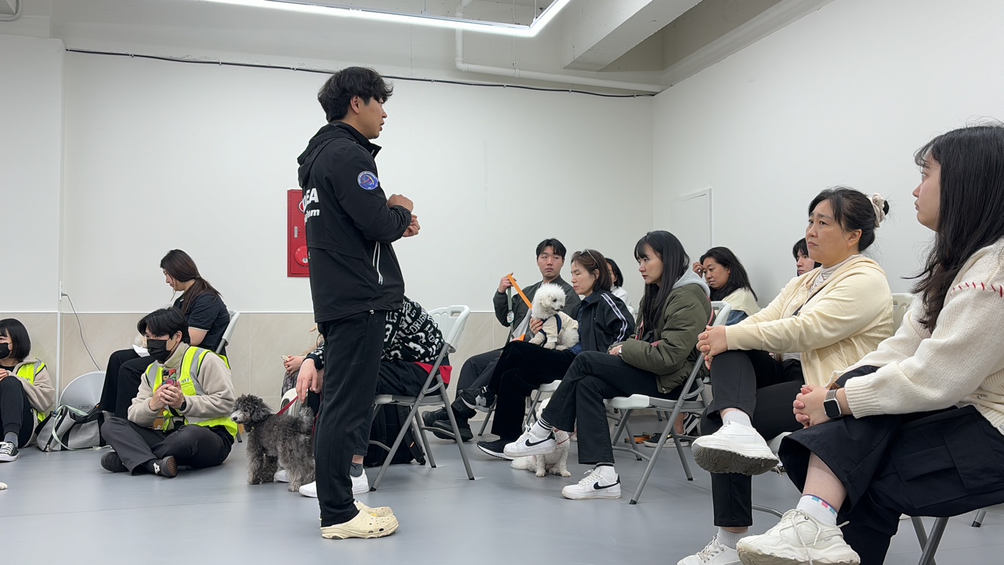 펫케아 4