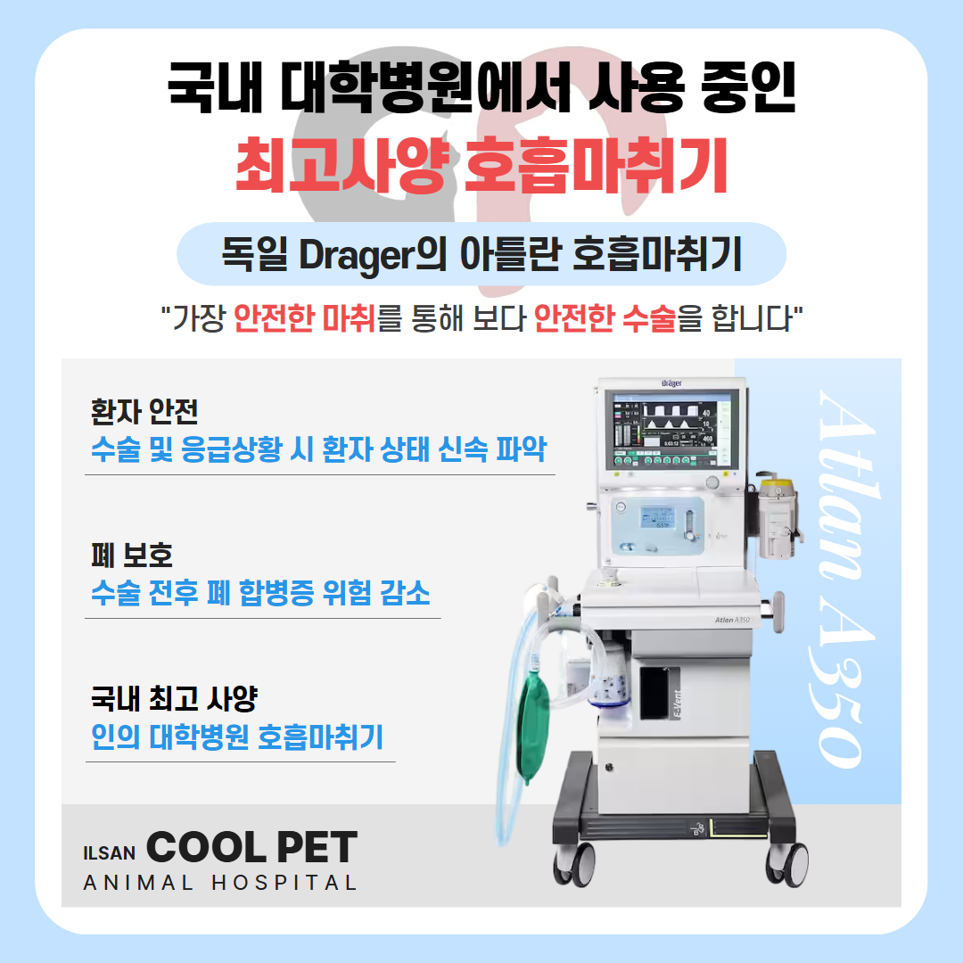 쿨펫동물병원 킨텍스로점 대표 이미지
