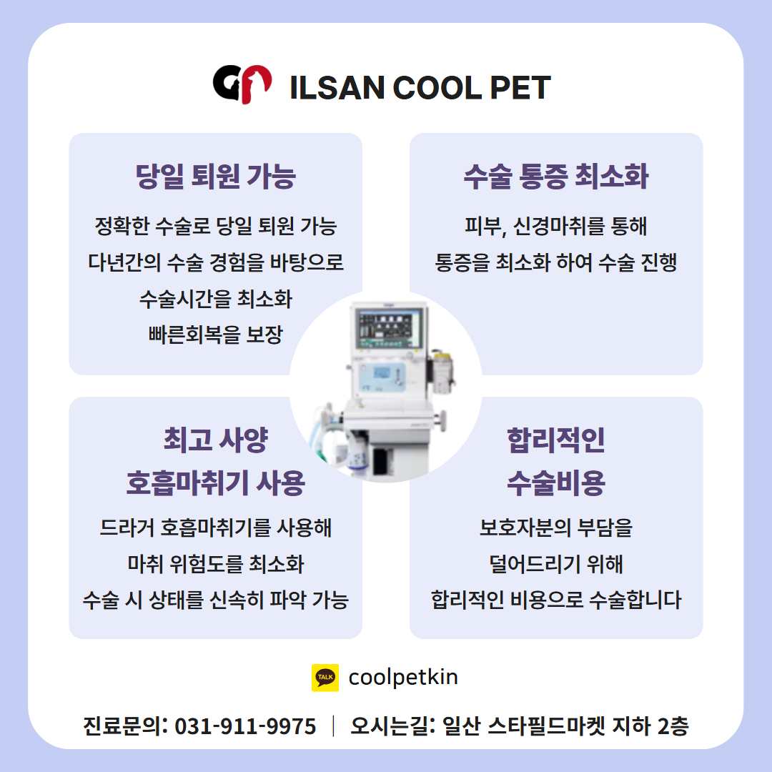 쿨펫동물병원 킨텍스로점 대표 이미지