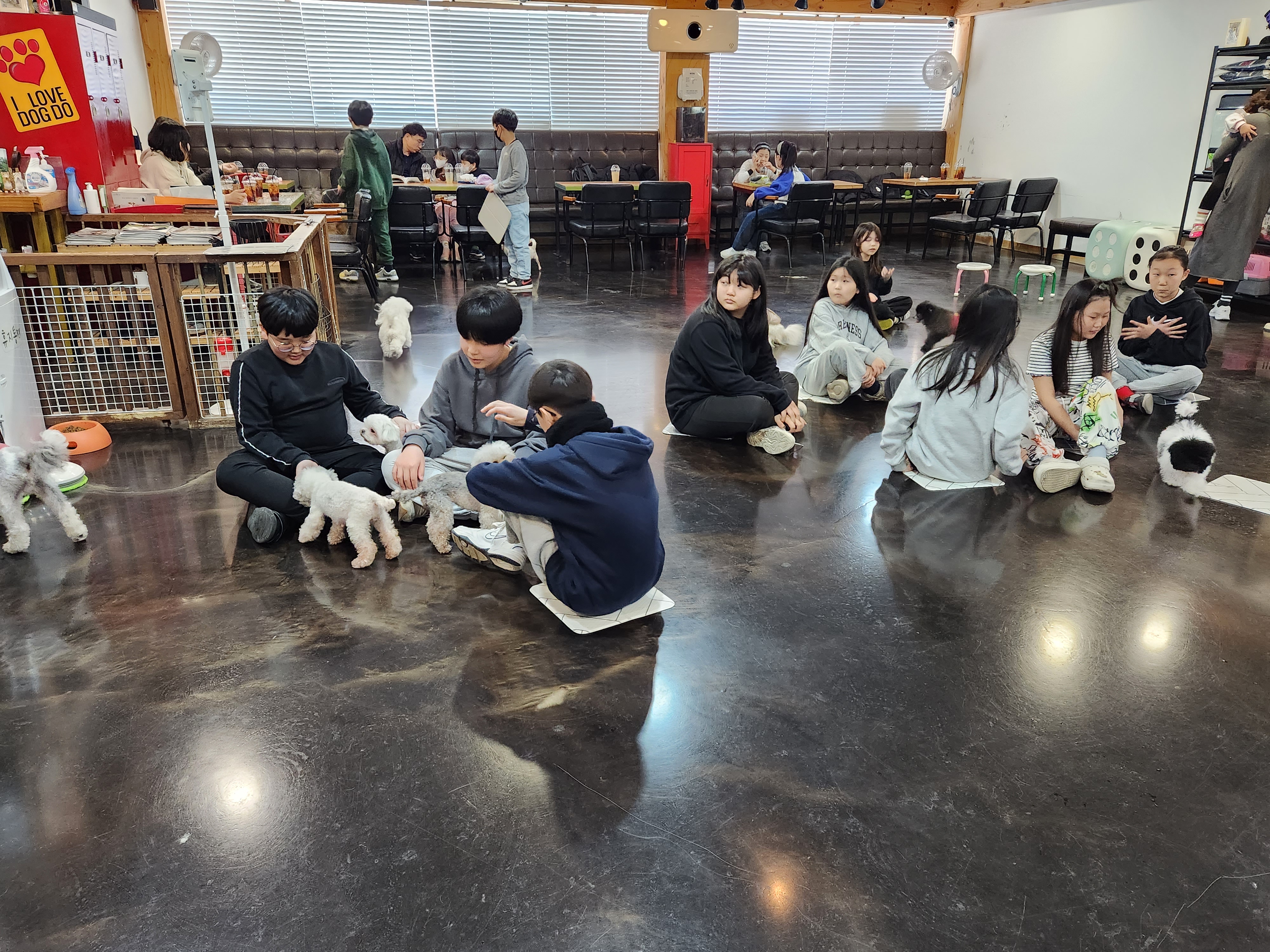 아이러브독도 2