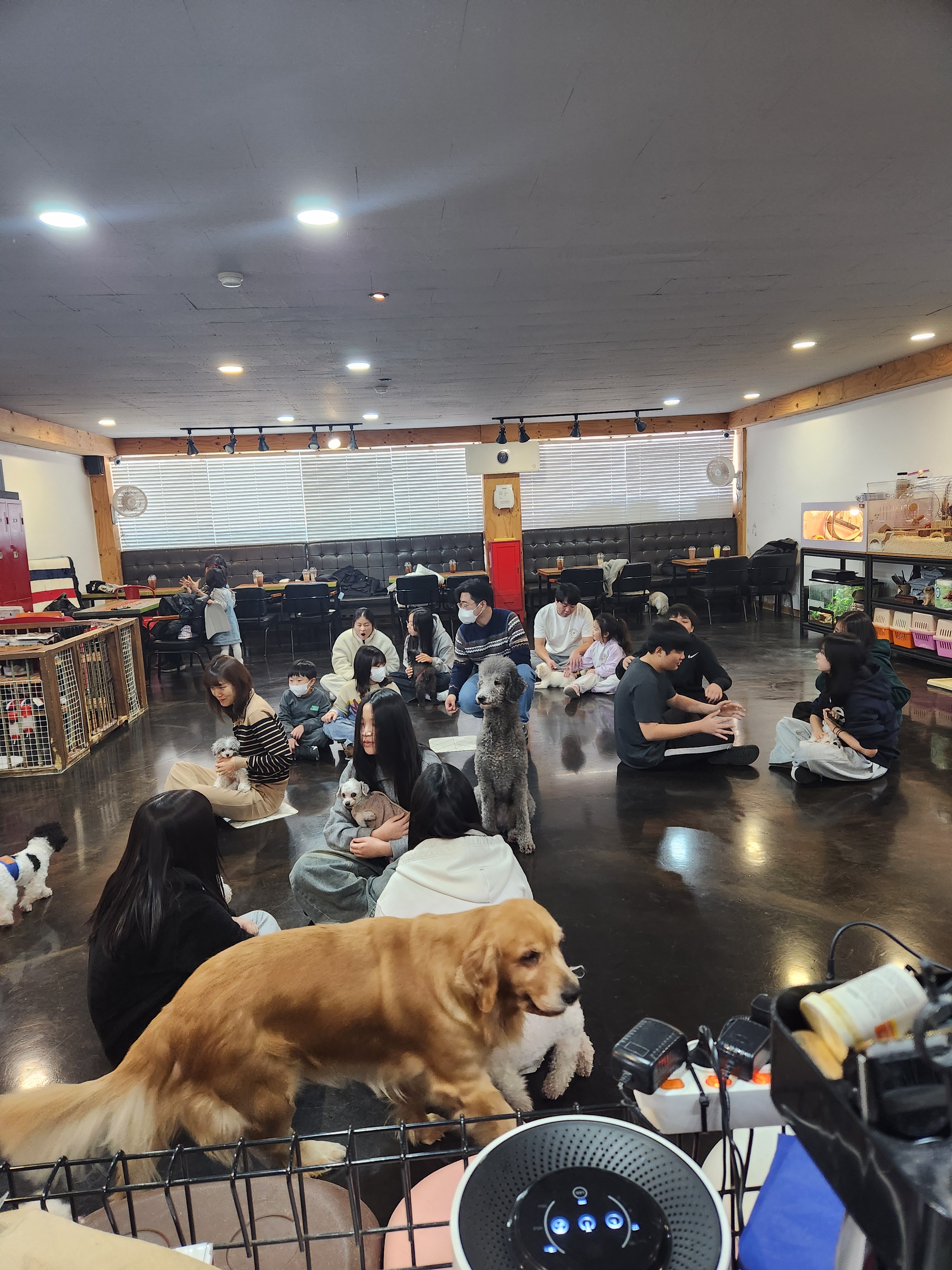플래티넘스푼 3