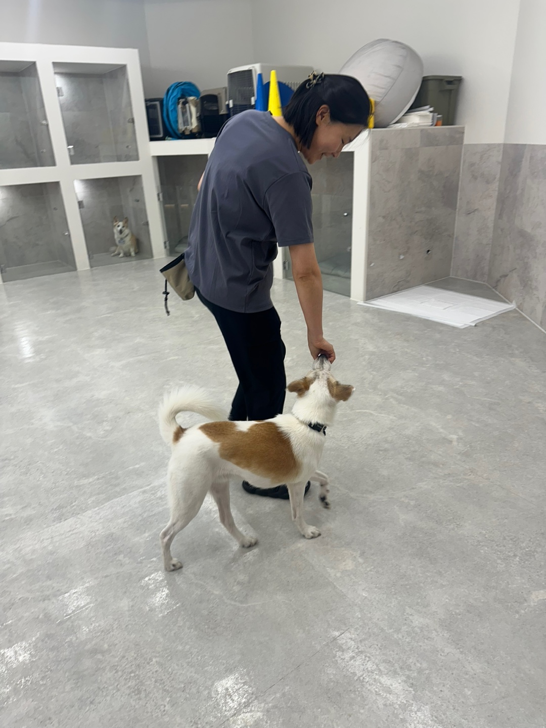 댕구르르 대표 이미지
