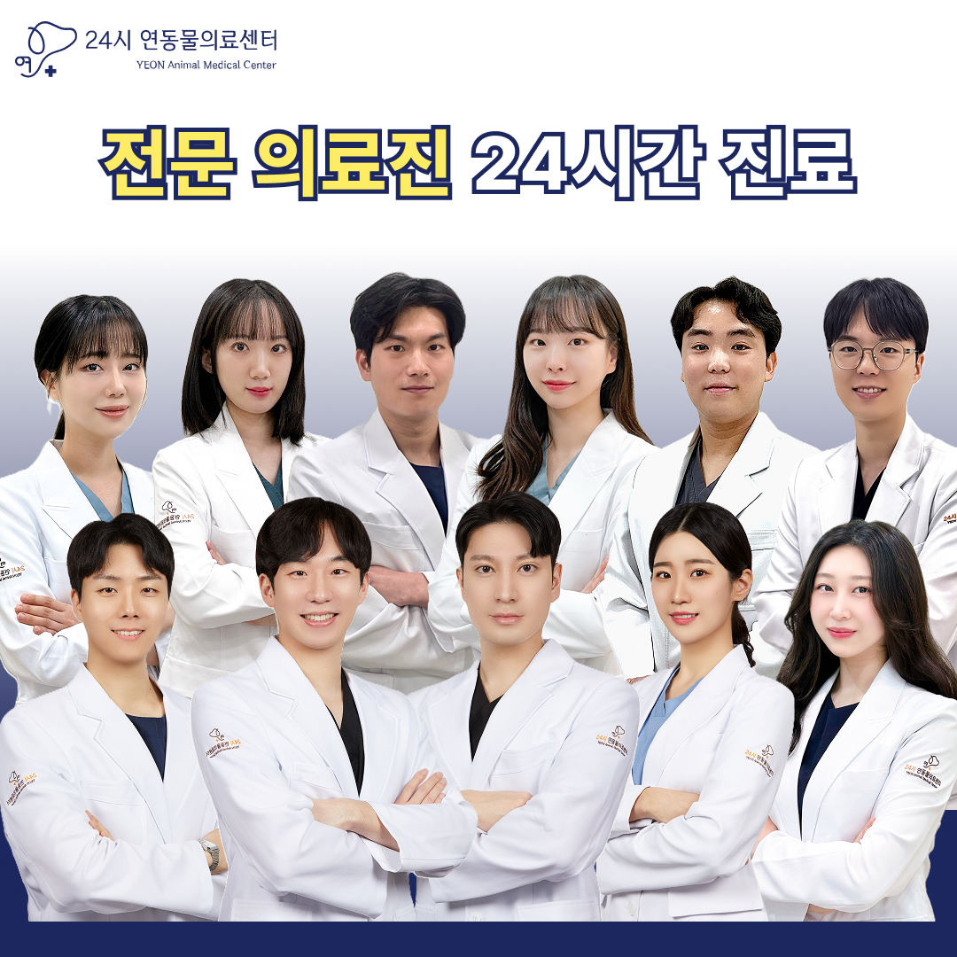 24시 연 동물의료센터