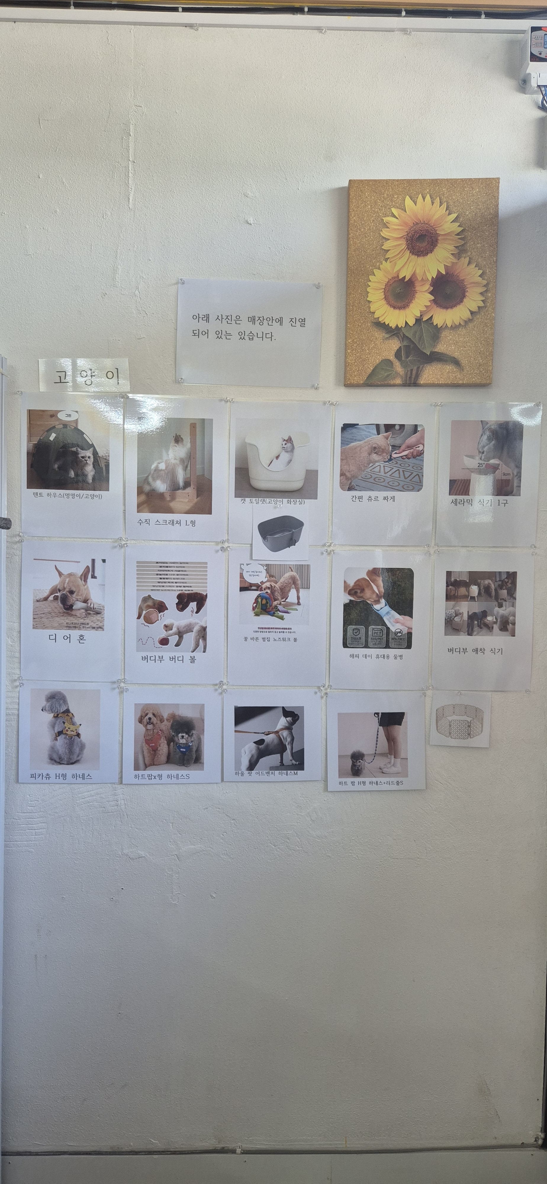 더펫 반려동물용품점 대표 이미지