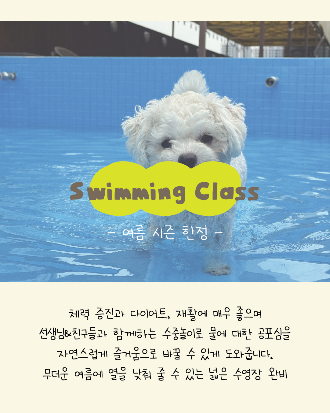 개스트하우스 청주점 3