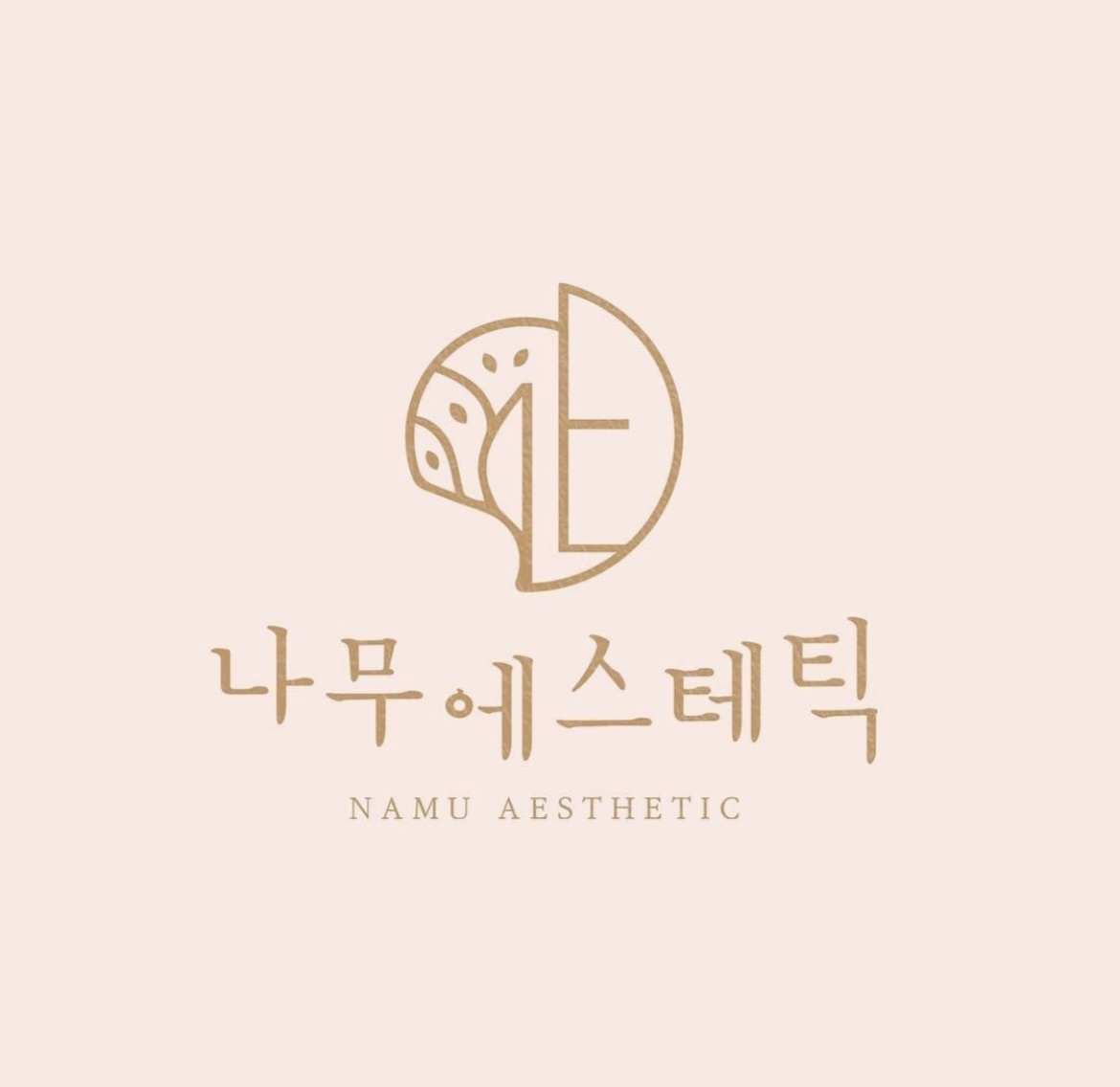 나무에스테틱
