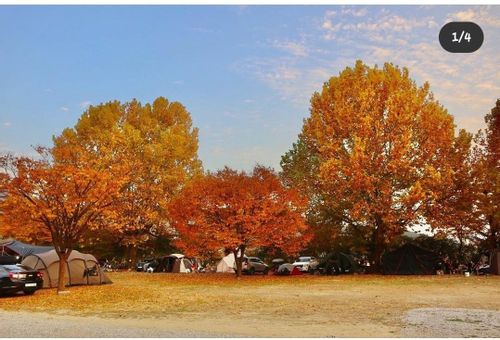 캠핑장 사진