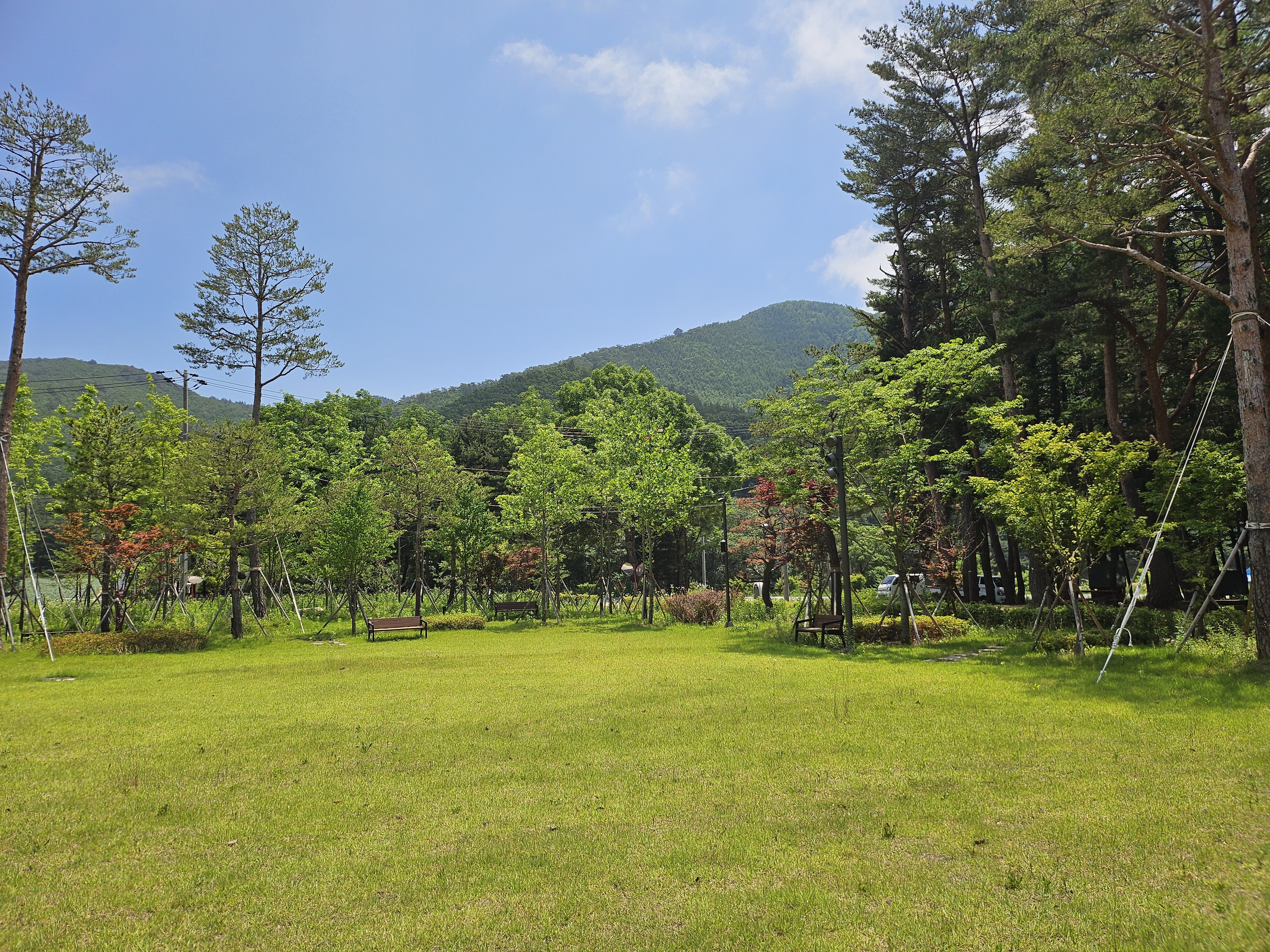 낙지섬 8