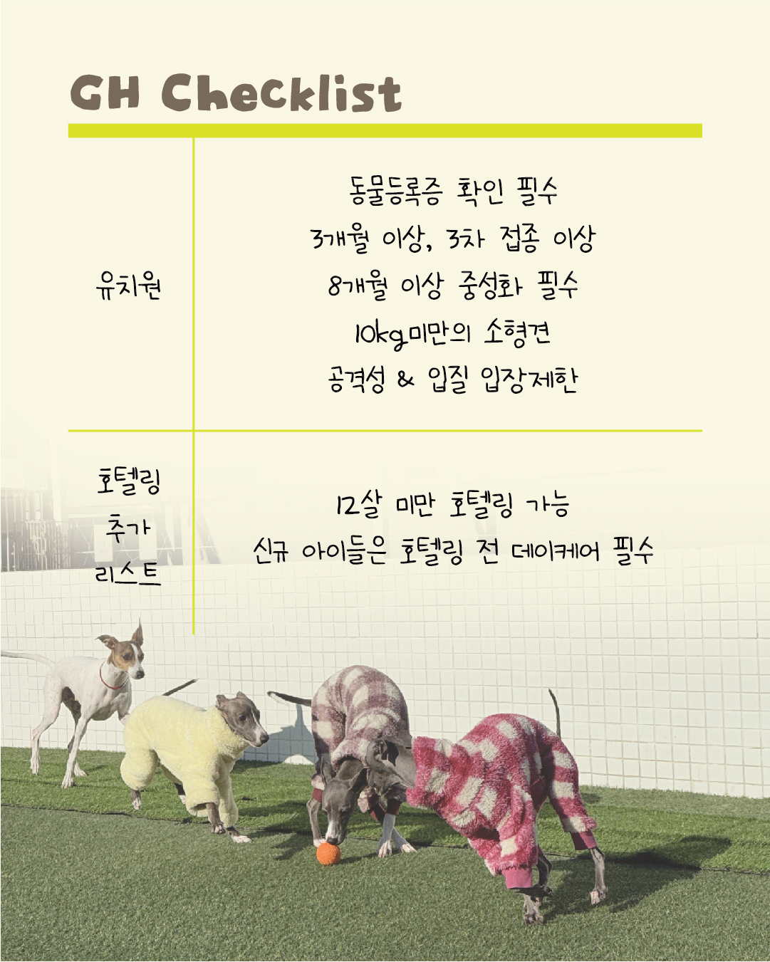 개스트하우스 청주점 2