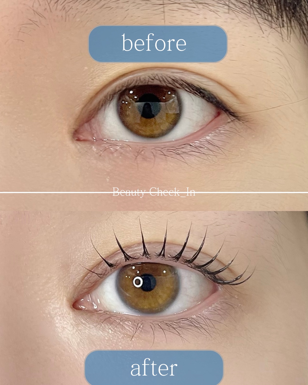 뷰티체크인 대표 이미지