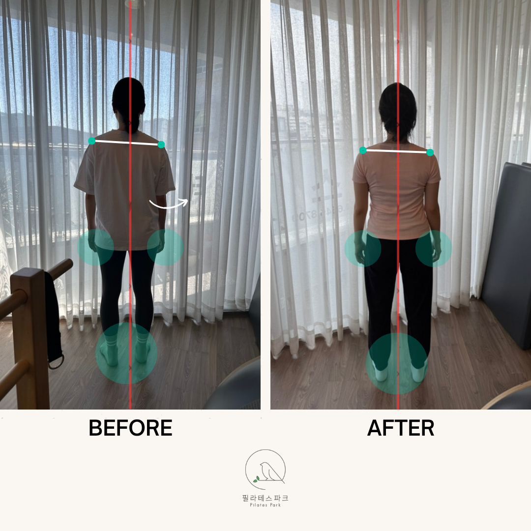 필라테스파크 이미지