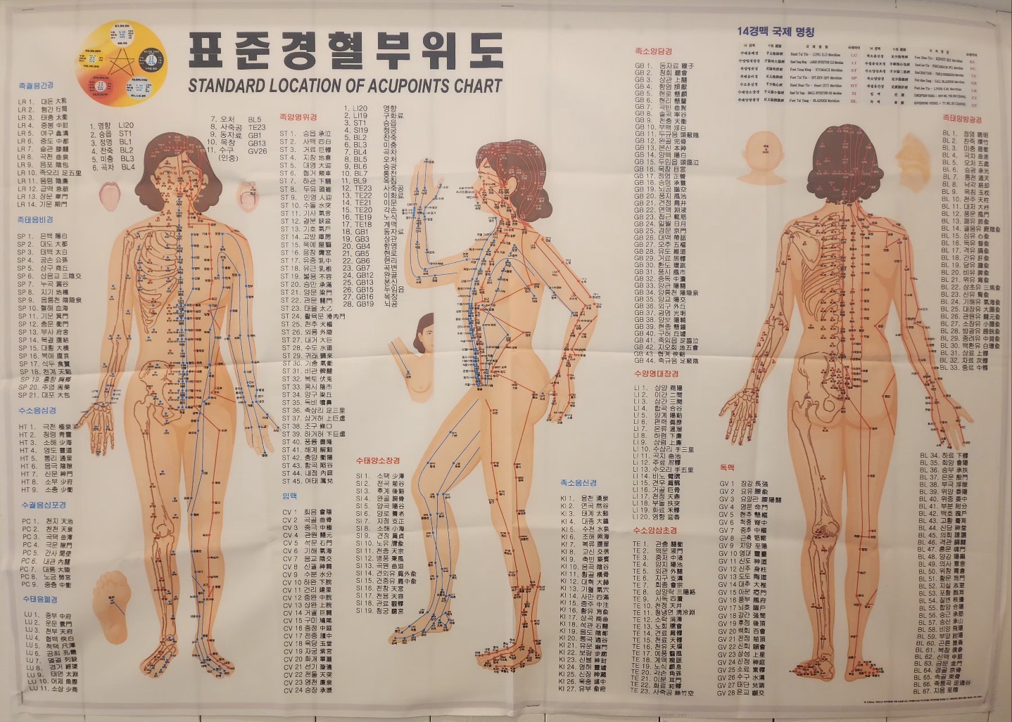 7575정체교정 photo 7