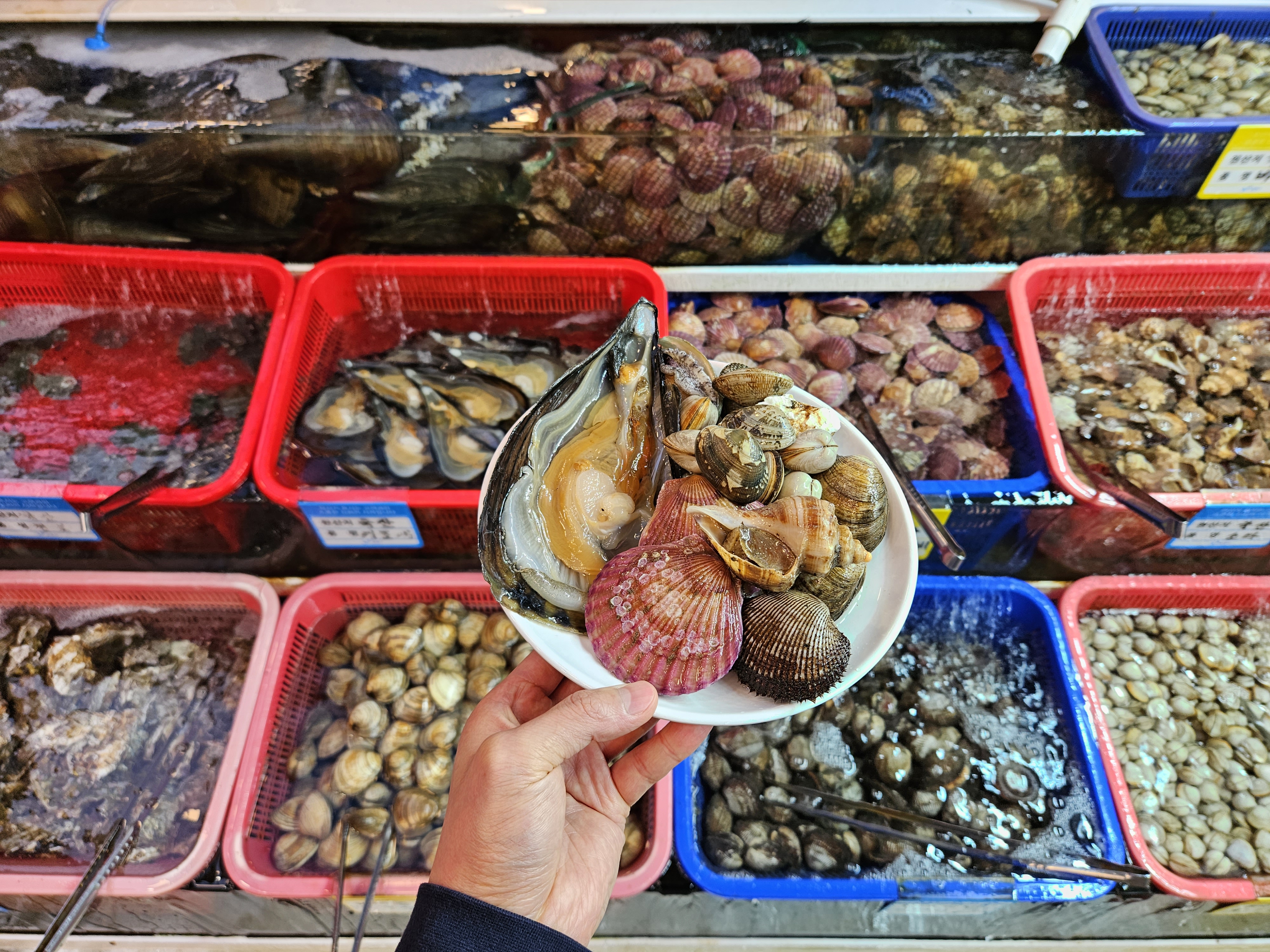 바운스조개구이