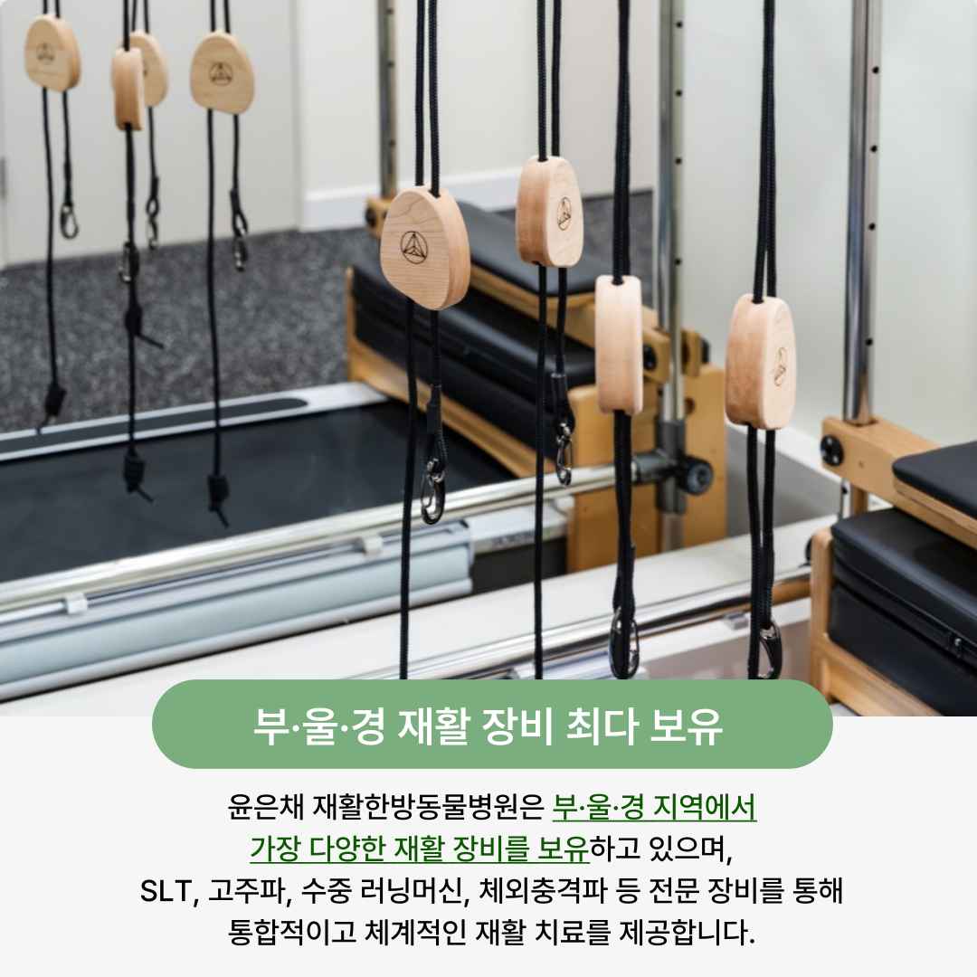 윤은채재활한방동물병원 대표 이미지