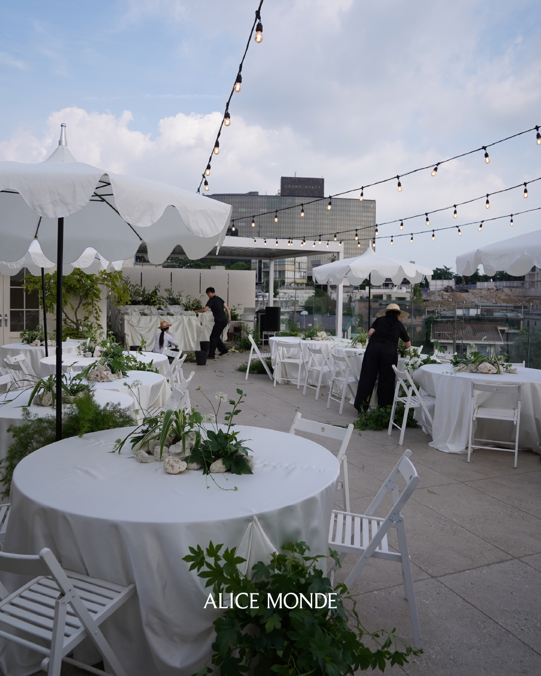 앨리스몽드 대표 이미지