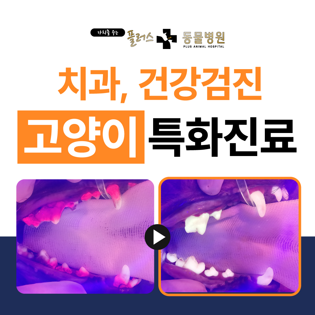 해운대 플러스동물병원