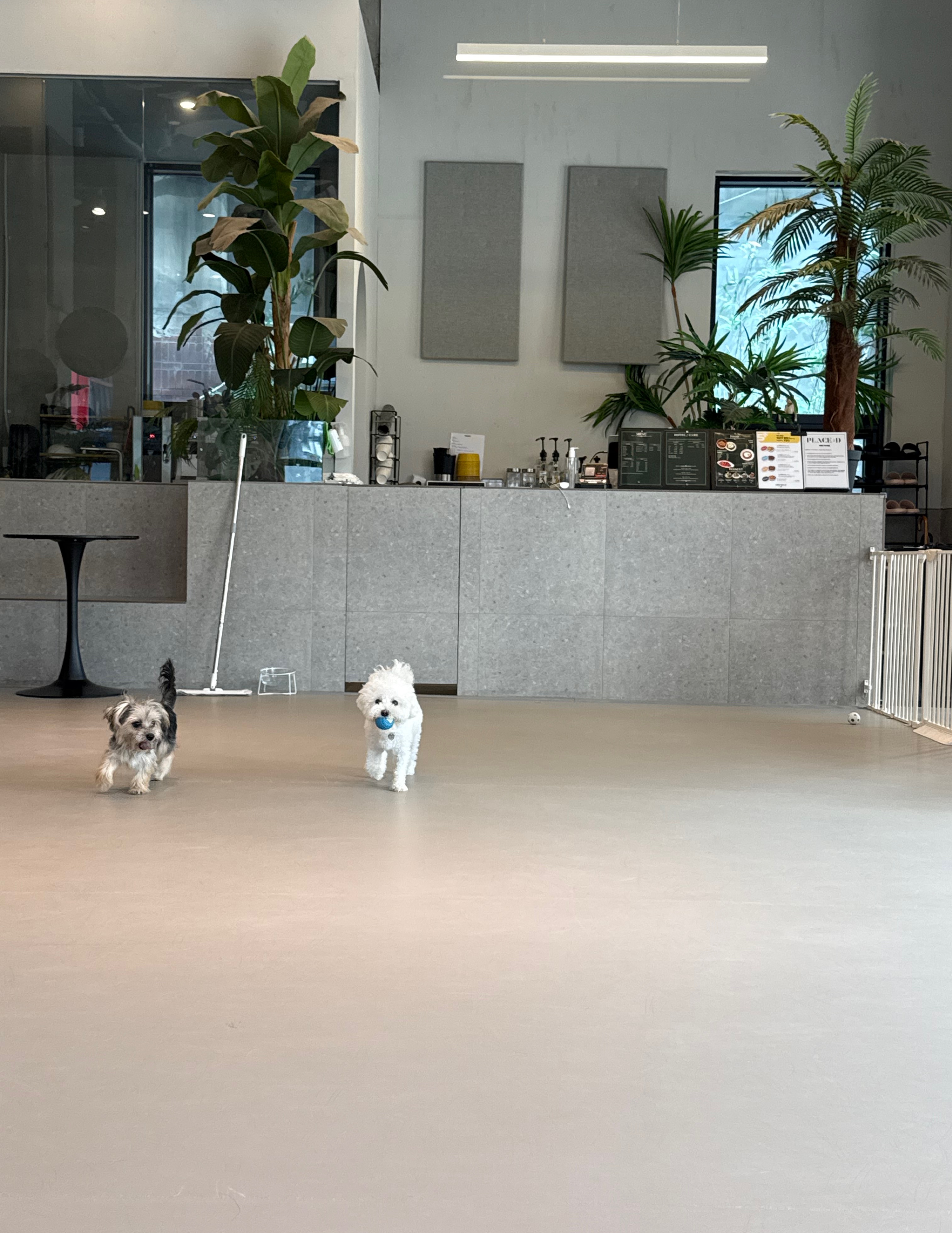 플레이스디 대표 이미지