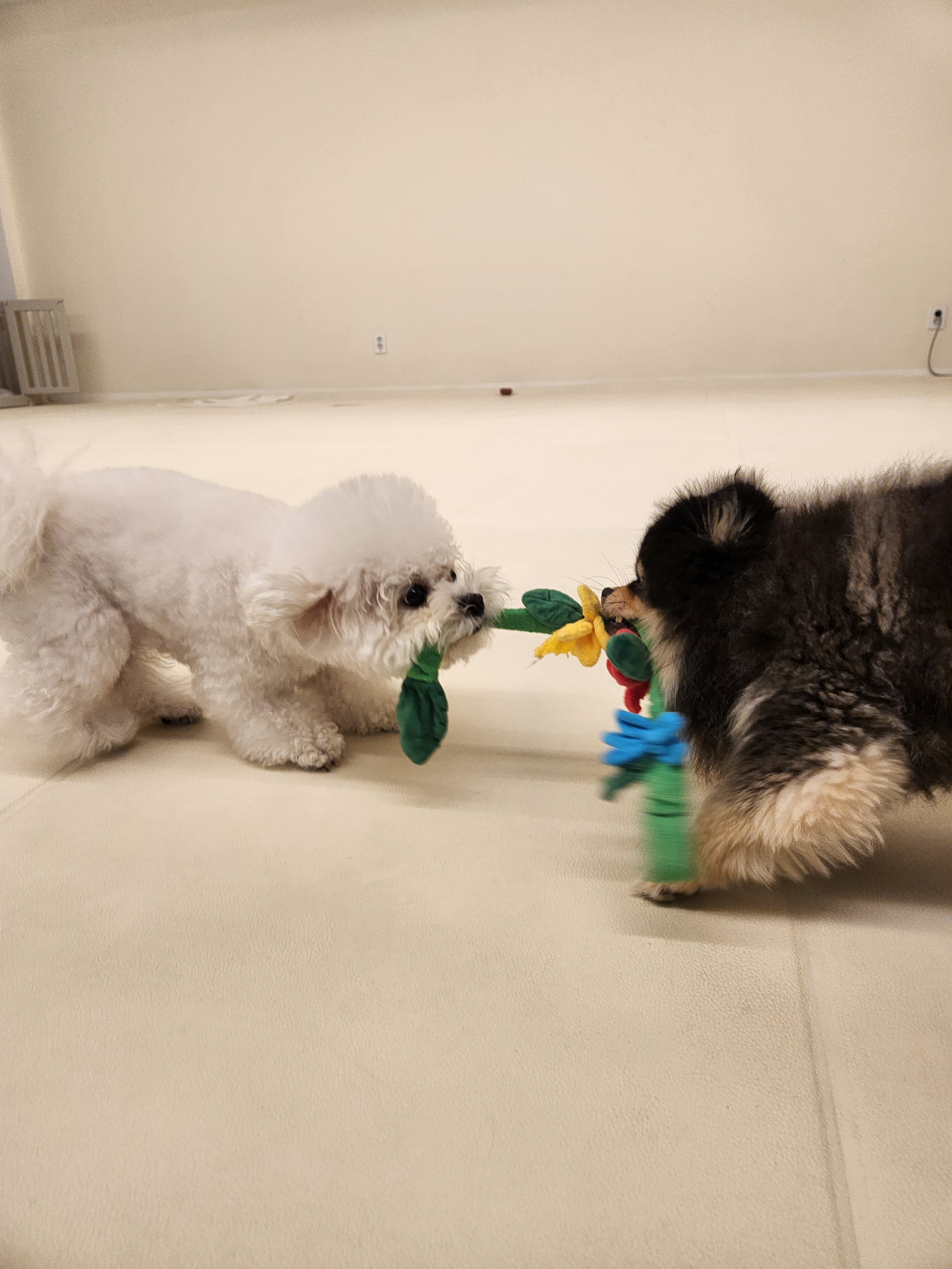 디어코코 대표 이미지