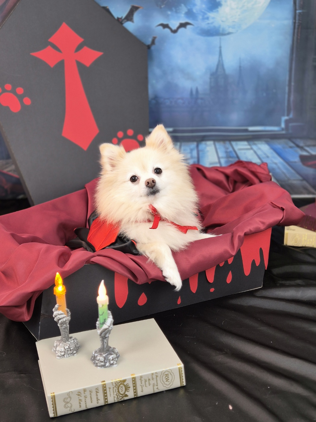 디어코코 대표 이미지