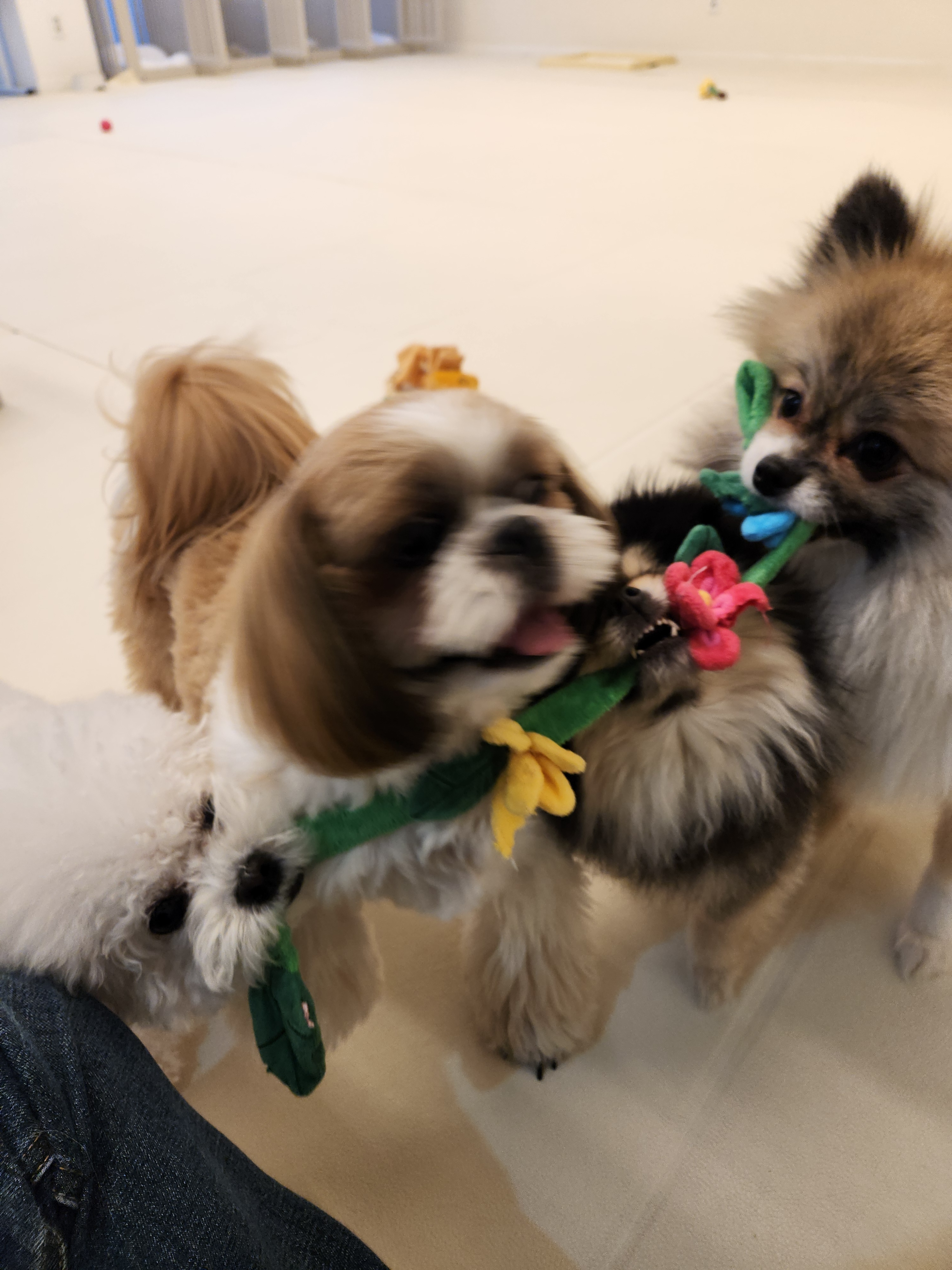 디어코코 대표 이미지