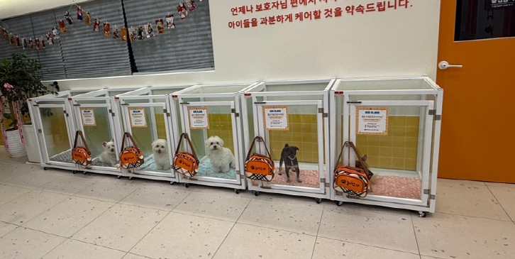 놀러오개 애견유치원 서대문점 대표 이미지